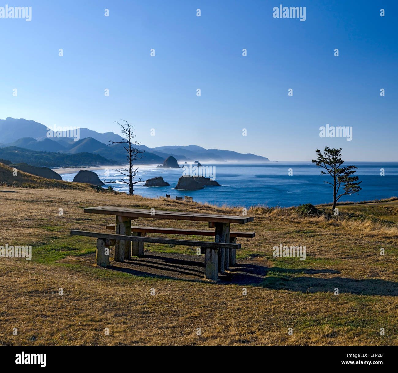 Ecola State Park sulla costa dell'Oregon Foto Stock