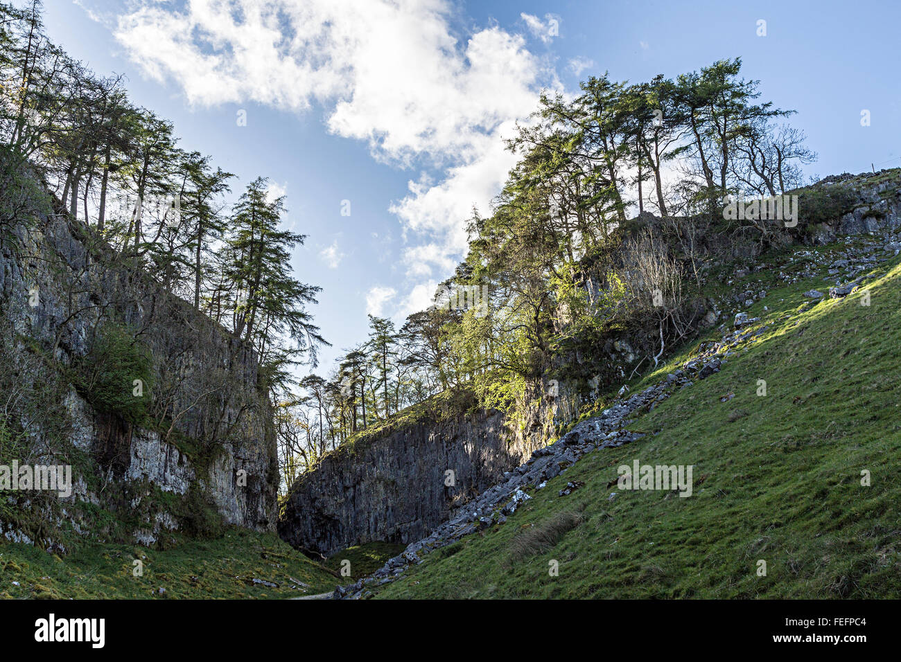 Trow Gill, Ingleborough, Yorkshire Dales, REGNO UNITO Foto Stock