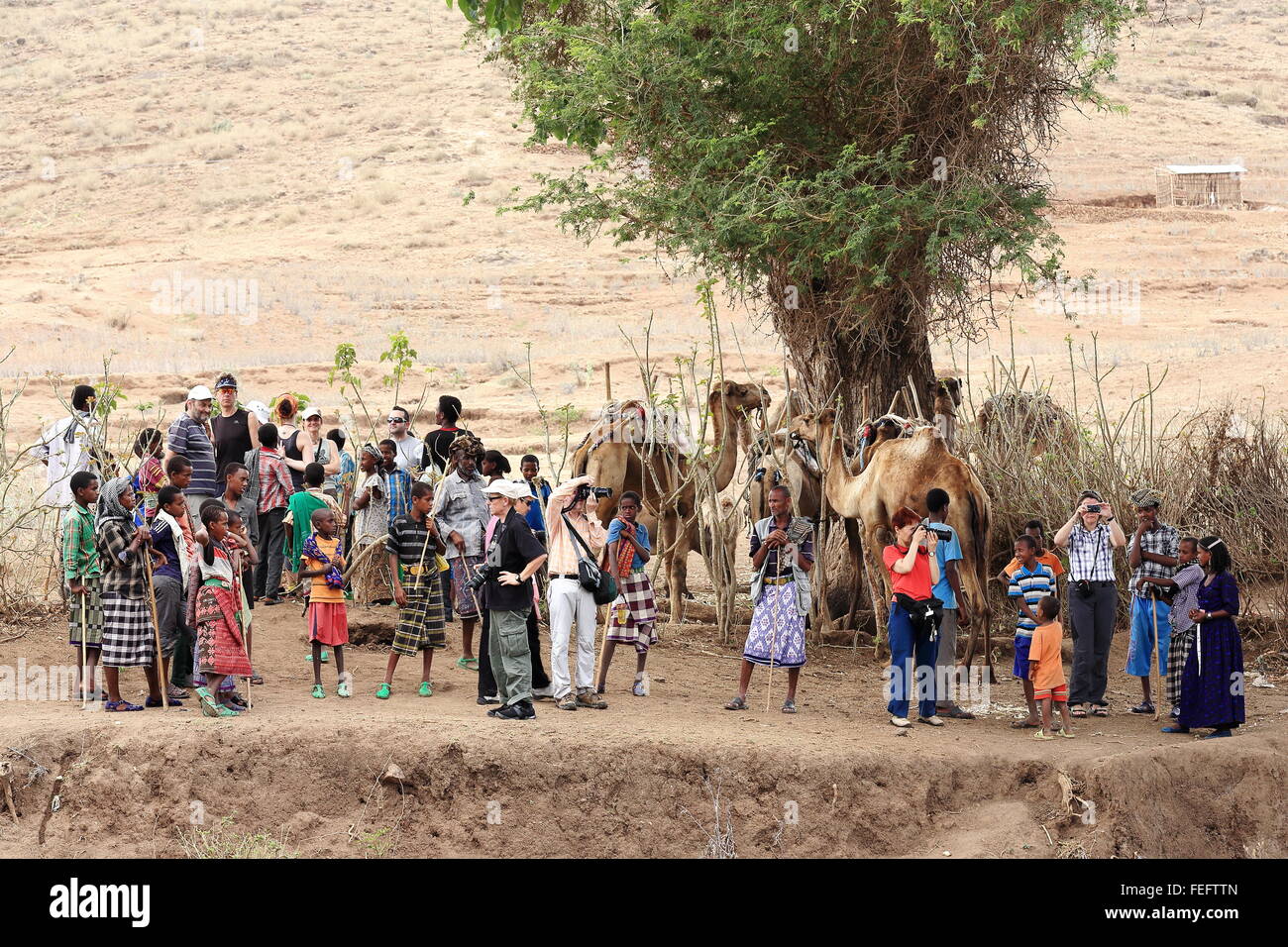 SENBETE, ETIOPIA-marzo 24: locale i commercianti del cammello si fondono con i turisti che visitano il mercato della domenica il 24 marzo 2013. Foto Stock