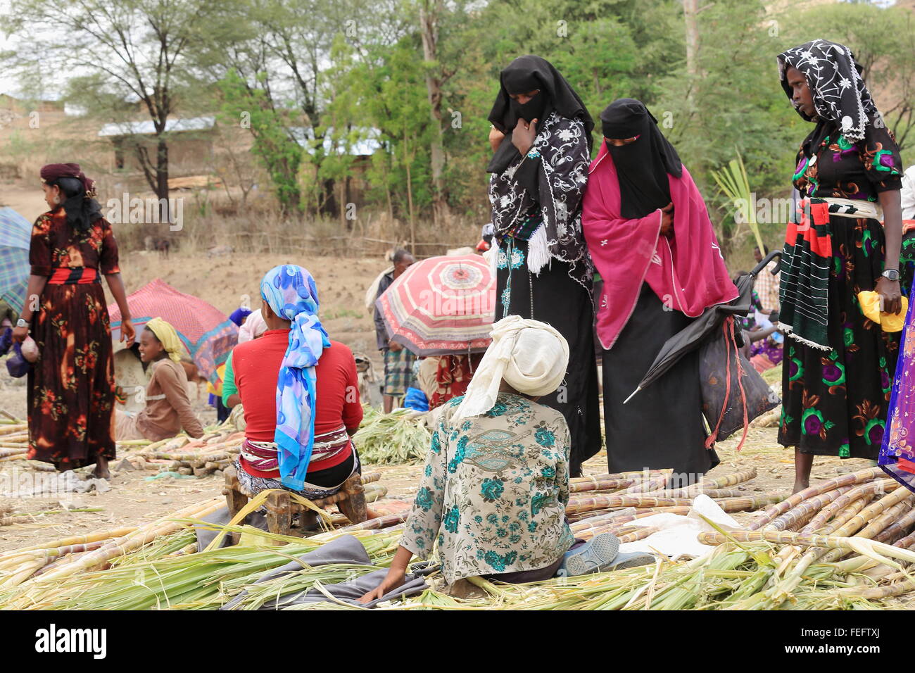 SENBETE, ETIOPIA-marzo 24: donne locali vendono la canna da zucchero in una fase di stallo del mercato di domenica dove il oromo-amhara-lontano i popoli incontrano Foto Stock