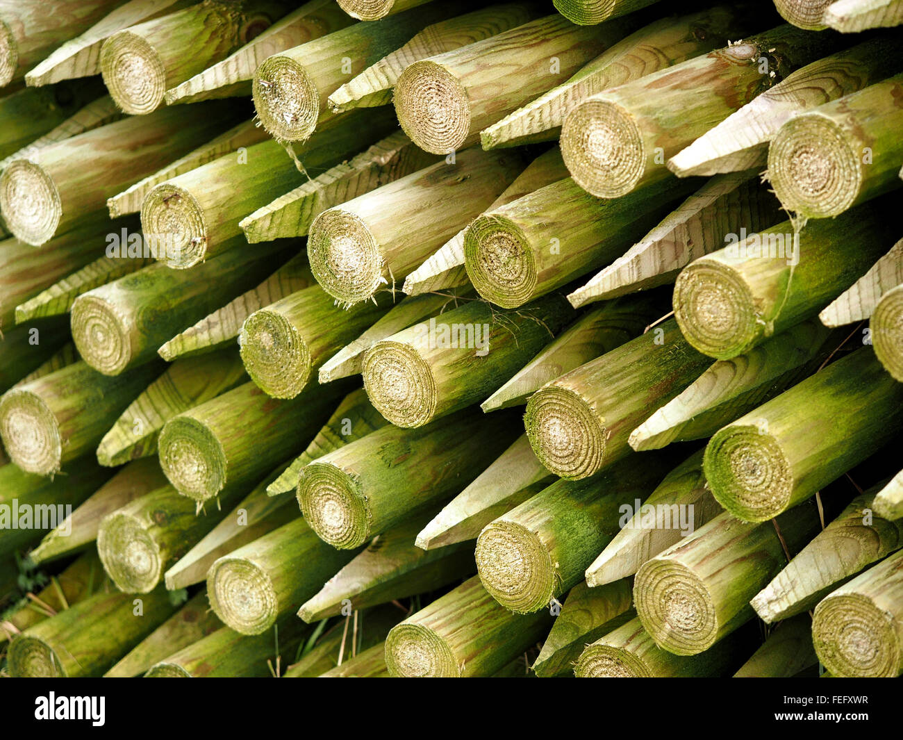 Modello di legno impilate fenceposts da estremità a estremità con muschio verde si tinge di licheni Foto Stock