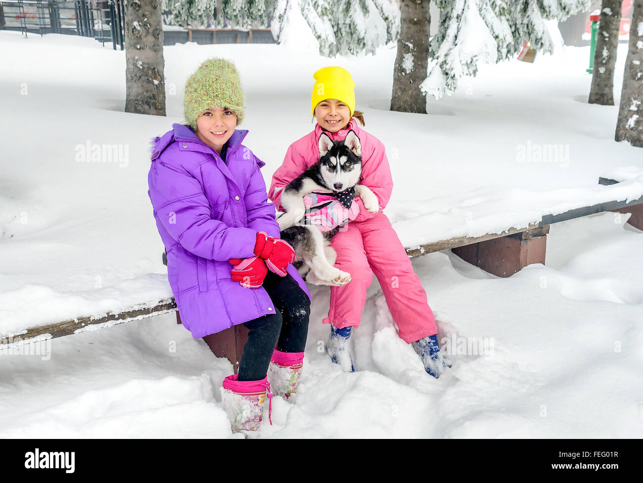 Bambine giocando con cani Husky sulla neve Foto Stock