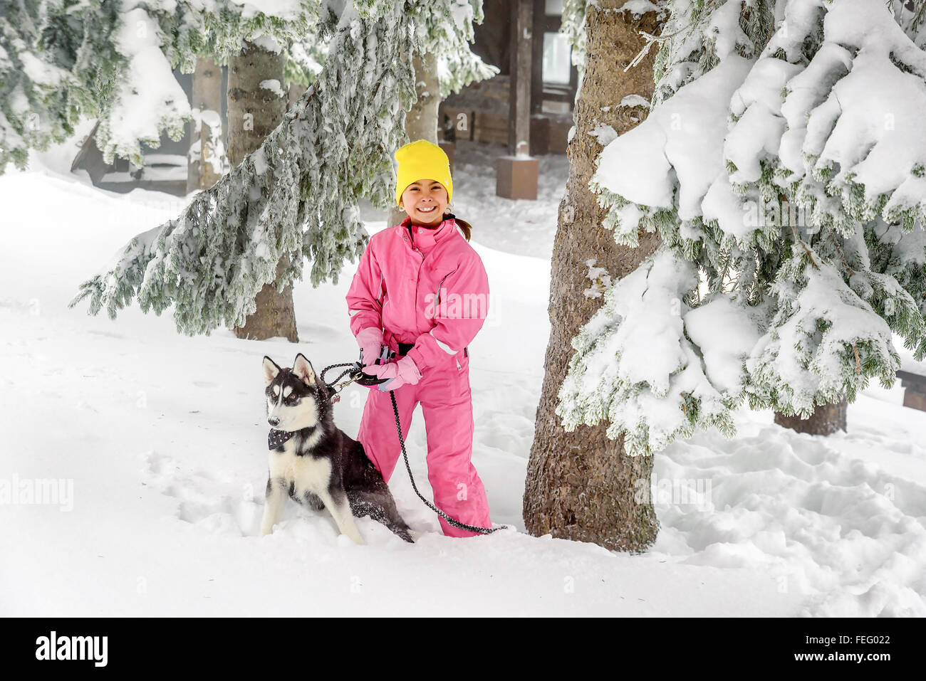 Bambina gioca con cani Husky sulla neve Foto Stock