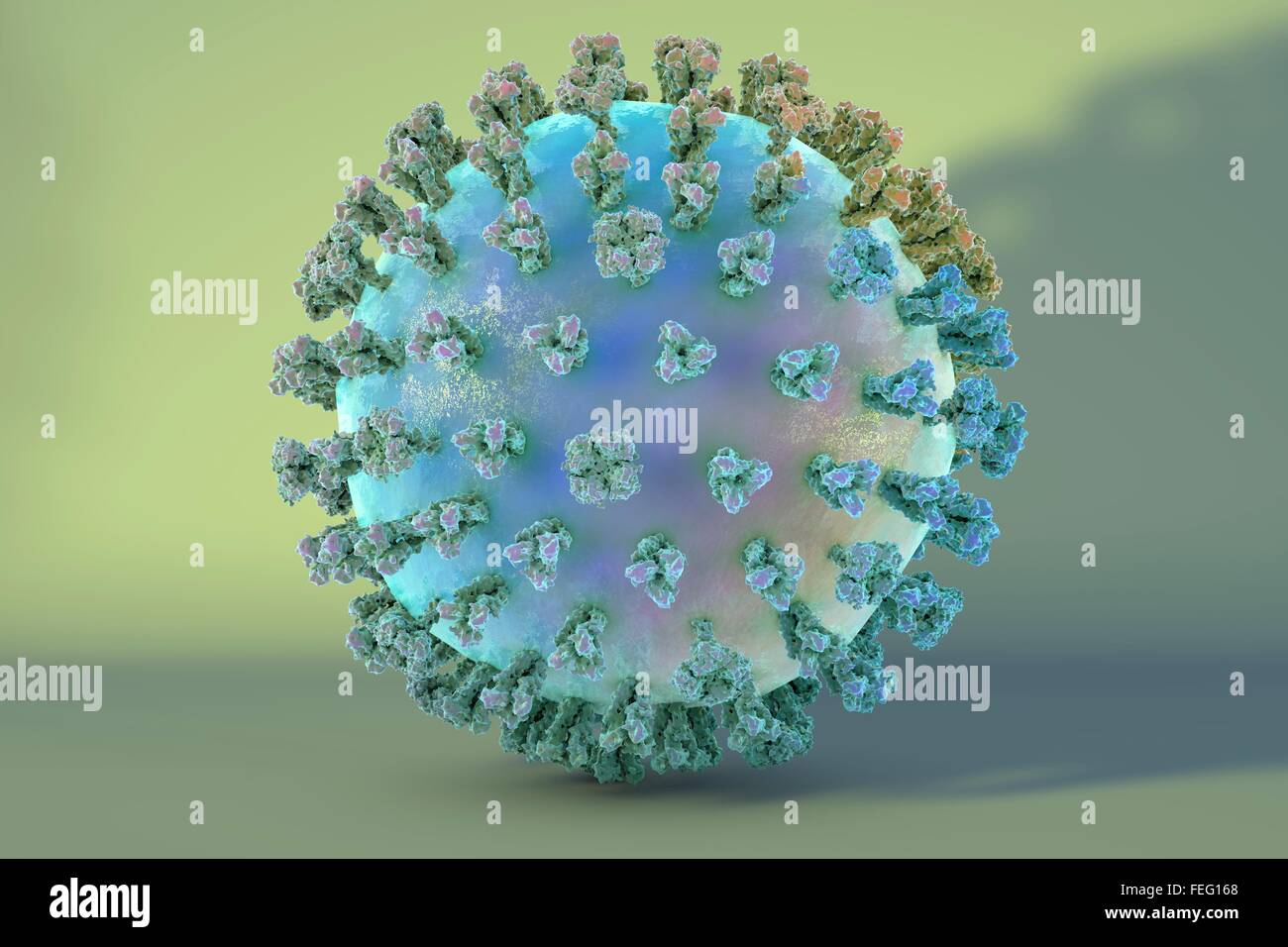 Influenza suina il virus H1N1. Illustrazione che mostra il virus dell'influenza con la superficie dei picchi di glicoproteina emoagglutinina (HA, rosso) e Foto Stock