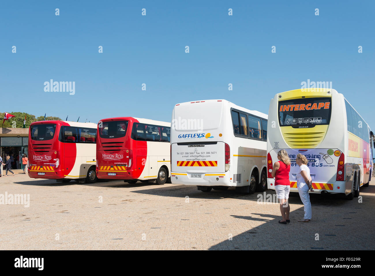Tour in autobus dalla stazione della funicolare a Cape Point Capo di Buona Speranza, Cape Peninsula, città di Cape Town, Western Cape, Sud Africa Foto Stock
