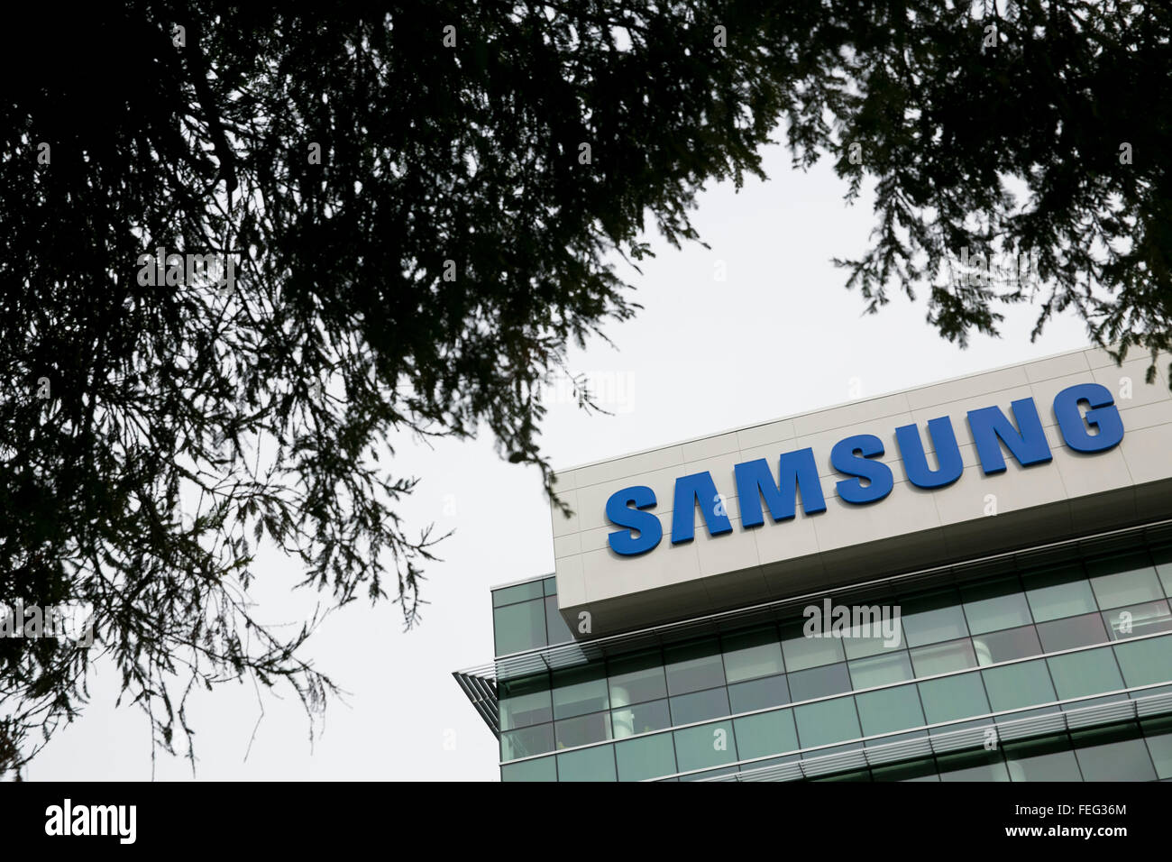 Un segno del logo al di fuori di una struttura occupata da Samsung a Sunnyvale, in California, il 24 gennaio 2016. Foto Stock