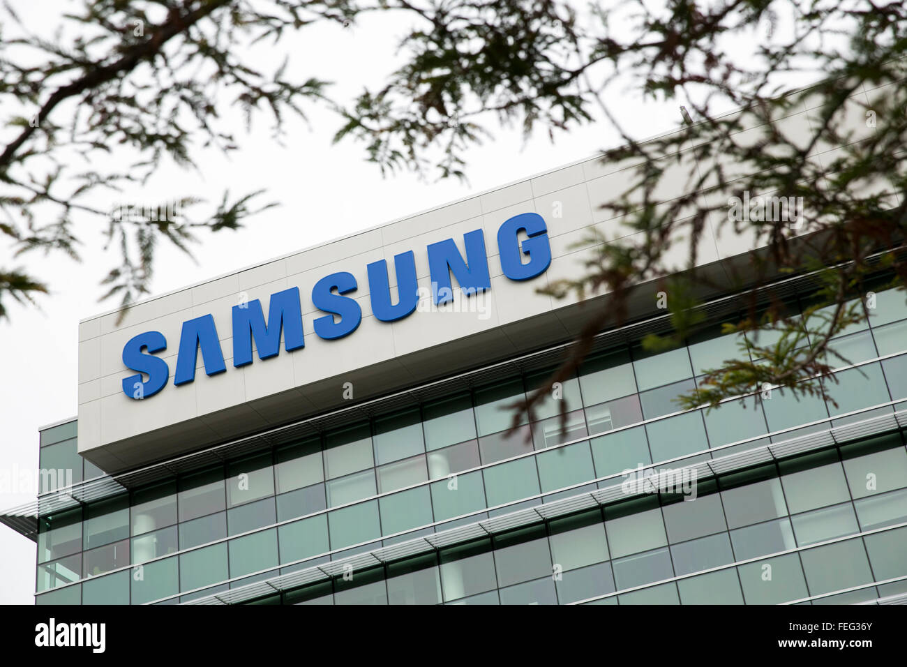 Un segno del logo al di fuori di una struttura occupata da Samsung a Sunnyvale, in California, il 24 gennaio 2016. Foto Stock