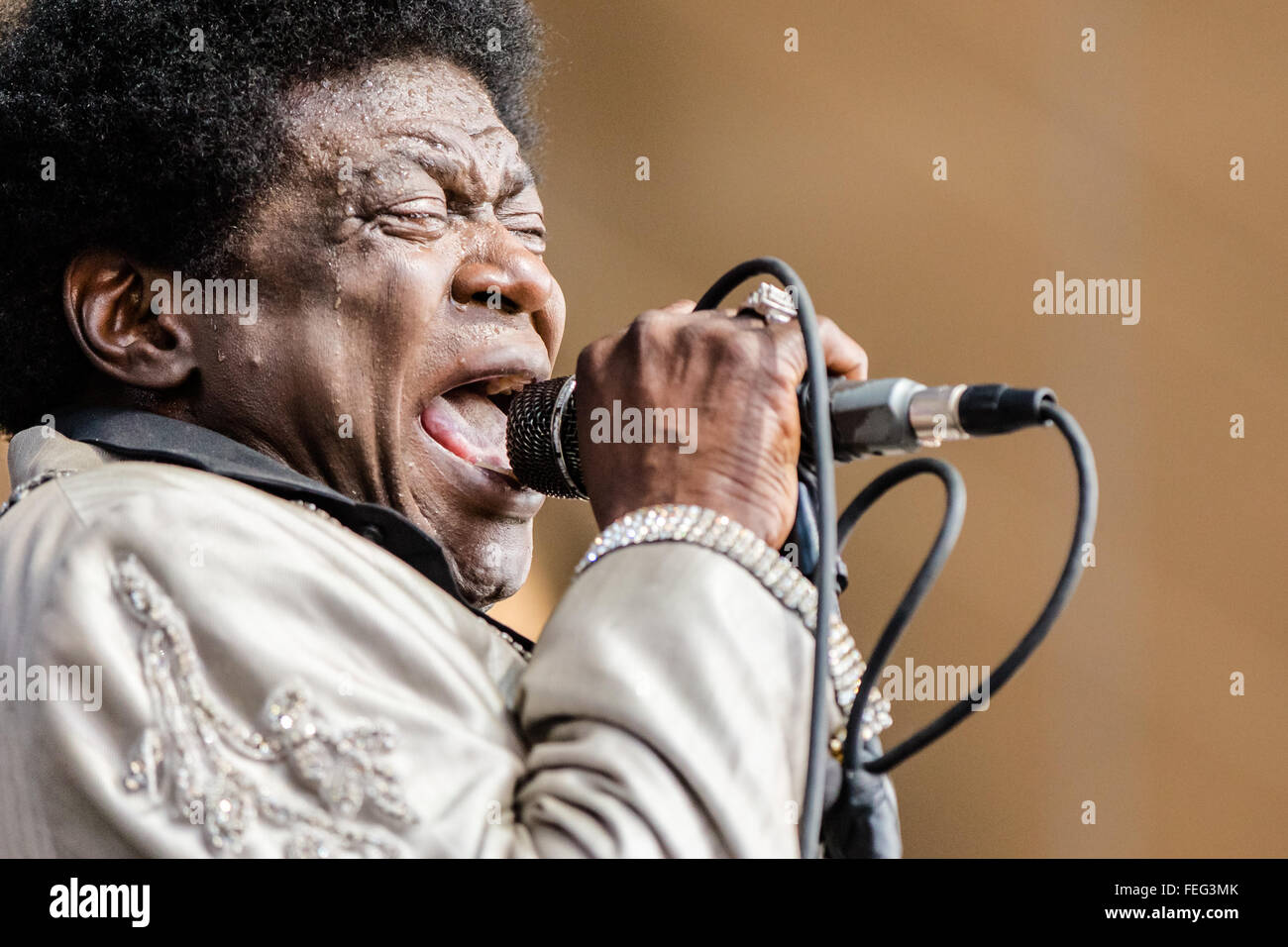 Charles Bradley performing live nell'estate del 2015 in un outdoor festival di musica Foto Stock