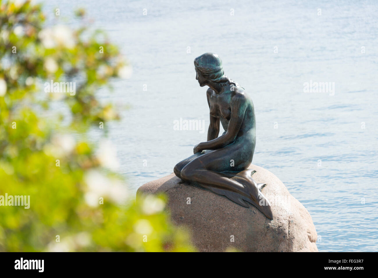 La statua della Sirenetta (Den Lille Havfrue), Langelinie, Copenaghen (Kobenhavn), Regno di Danimarca Foto Stock