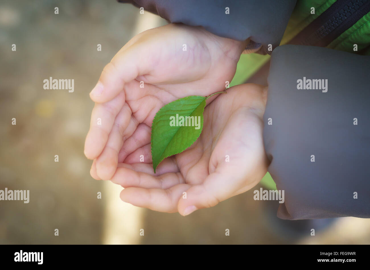 Piccola foglia verde in mano del bambino sul palm. Progettazione Concettuale della natura. Foto Stock