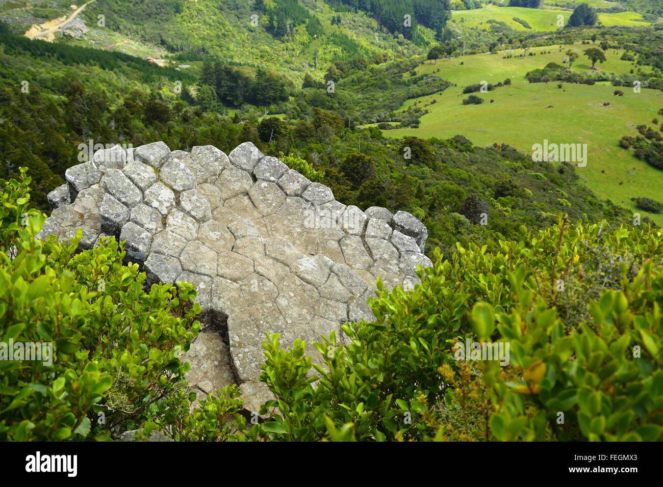 L'organo a canne a Mount Cargill, Dunedin, Nuova Zelanda. Queste colonne poligonali sono un residuo di attività vulcanica dell'area. Foto Stock