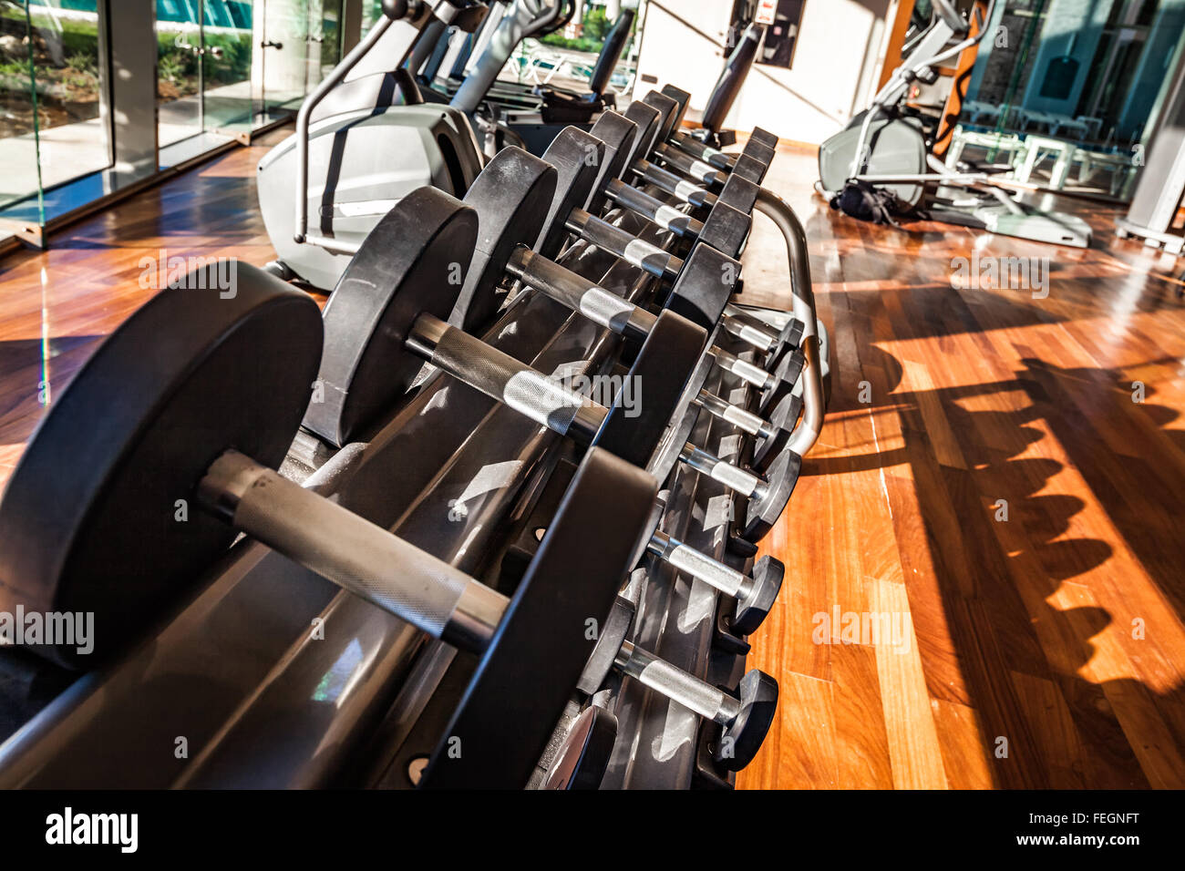 Palestra interno con attrezzature. Manubri in palestra. Foto Stock