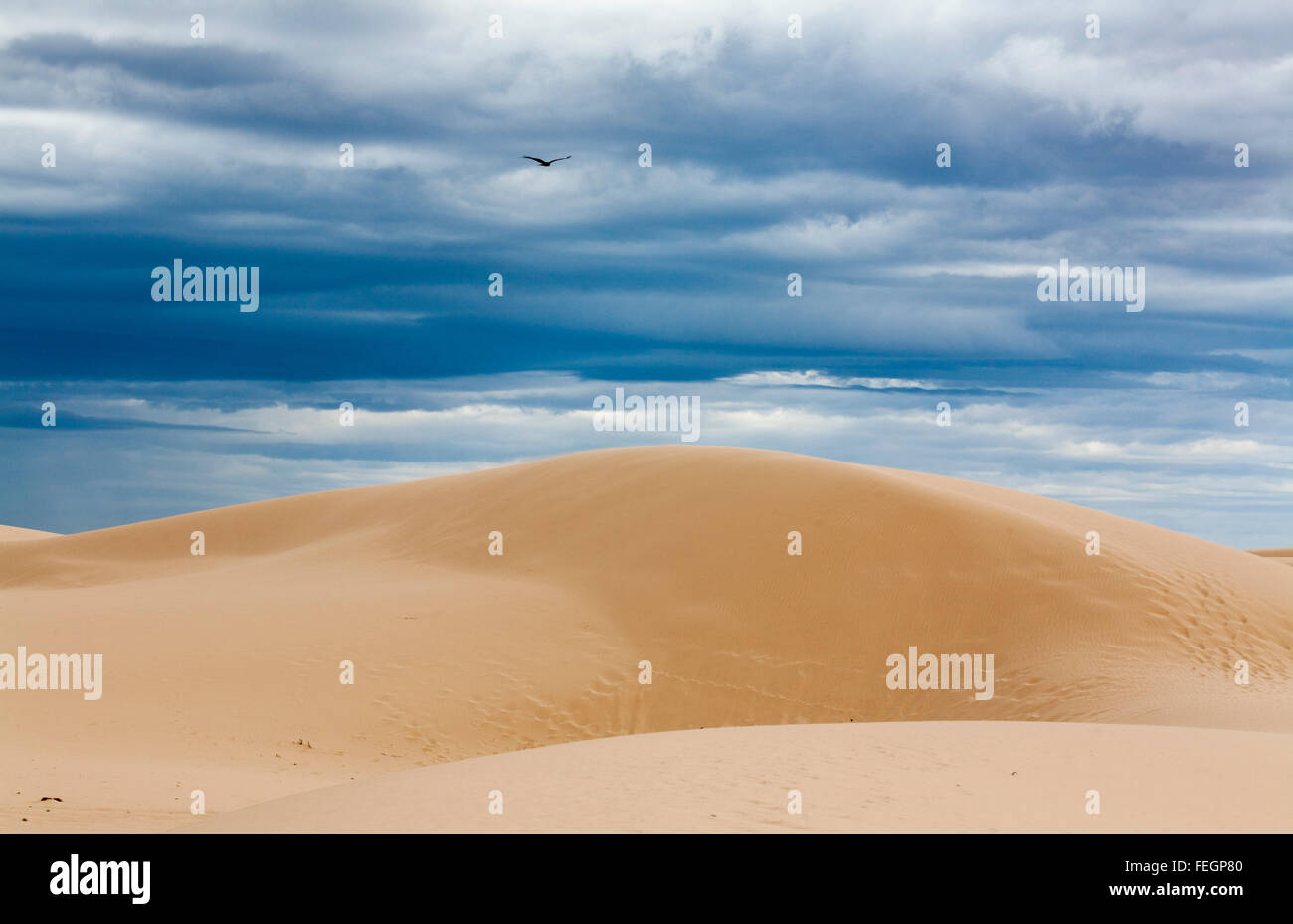 Pareti della Cina lunetta mobile e le dune di sabbia lungo il bordo del lago Mungo Mungo Parco Nazionale del Nuovo Galles del Sud Australia. Foto Stock