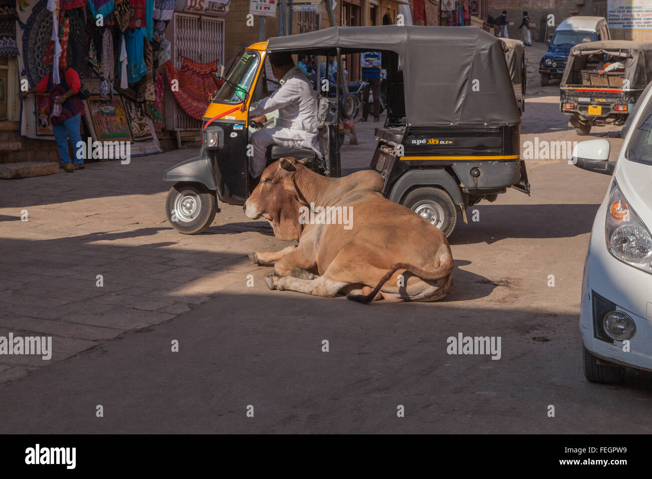 Una vacca sacra si appoggia nel mezzo di una strada trafficata in Kanpur, India mentre il traffico si muove intorno ad esso. Foto Stock