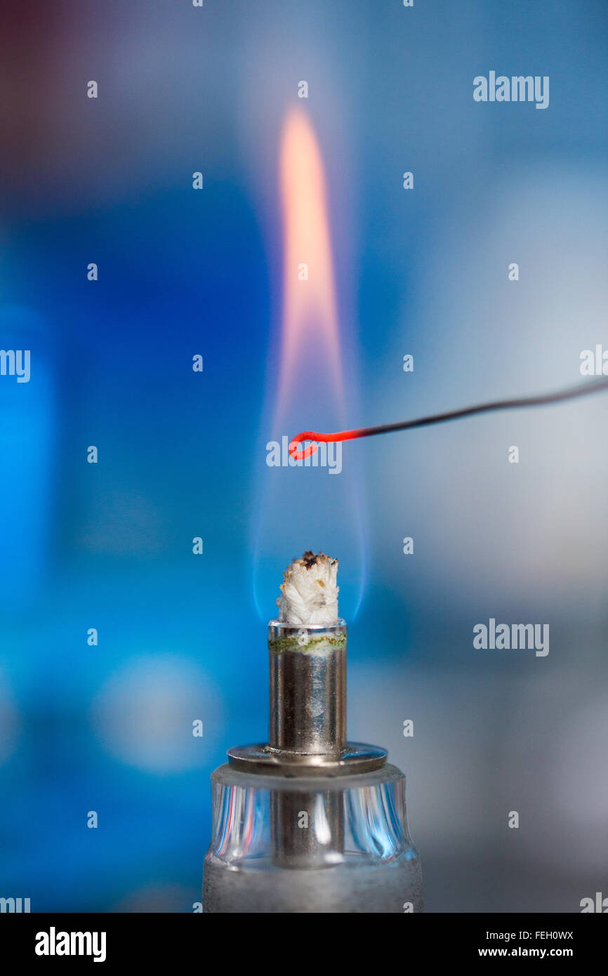 Microbiologica loop di inoculazione riscaldato in una fiamma Foto Stock