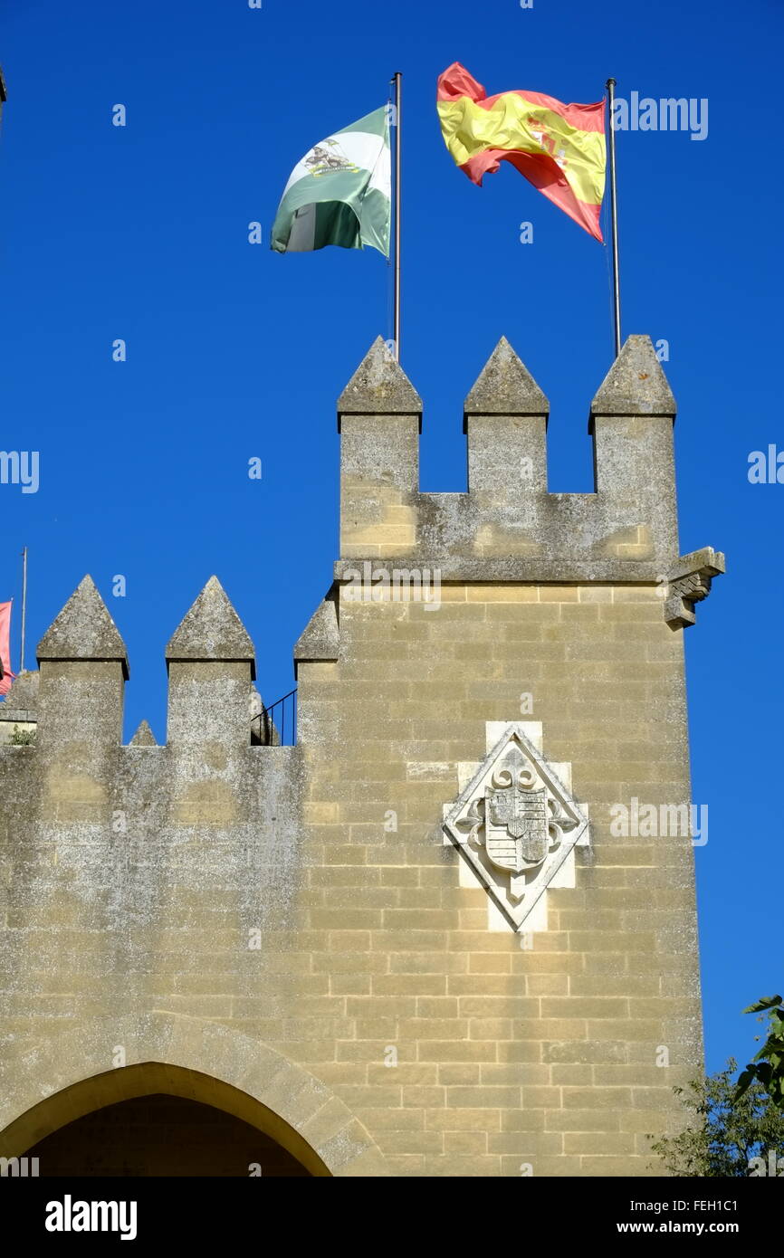 Castillo de Almodóvar del Río di un castello di origine musulmana nella città di Almodóvar del Río, Córdoba, Spagna Foto Stock