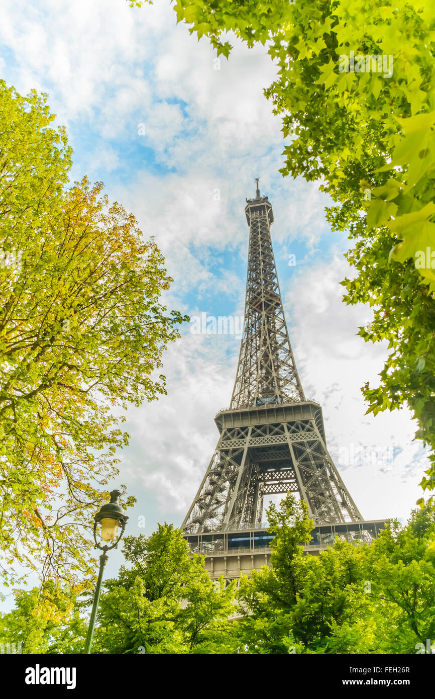 Torre Eiffel visto attraverso il fogliame verde Foto Stock