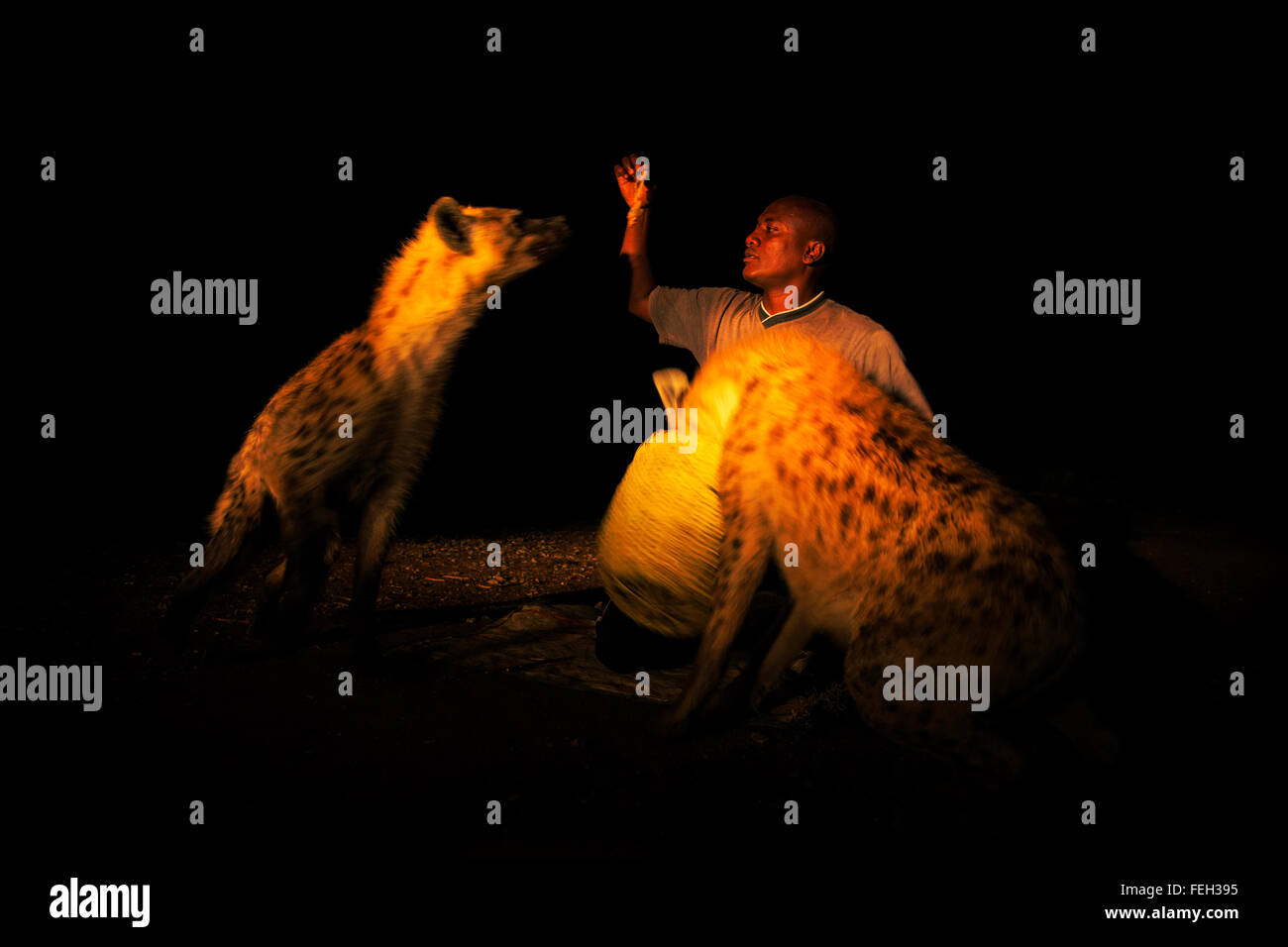 La iena uomo Harar, Etiopia. Foto Stock