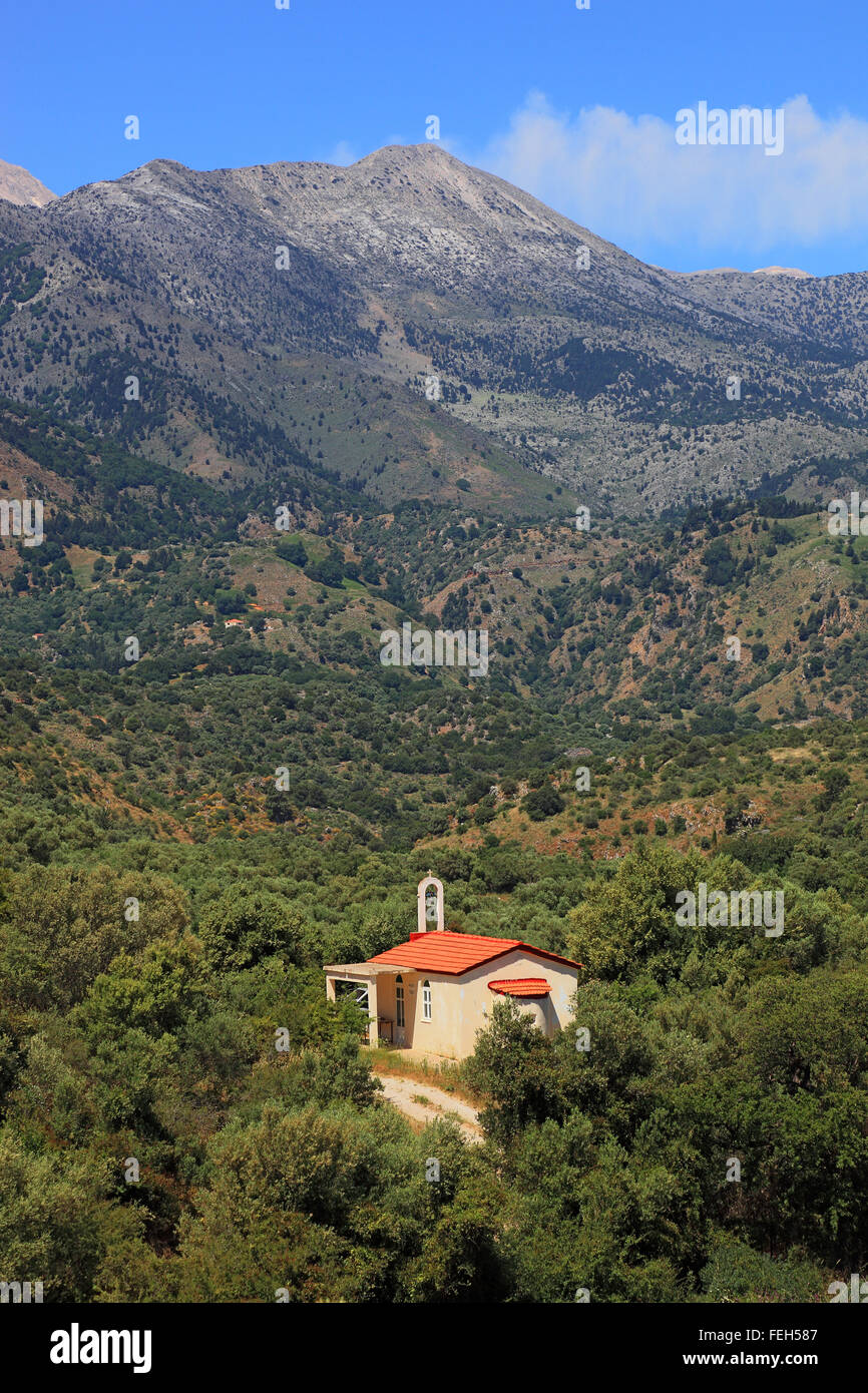 Creta, piccola chiesa nel mezzo di alberi di olivo in Levka area Ori Foto Stock