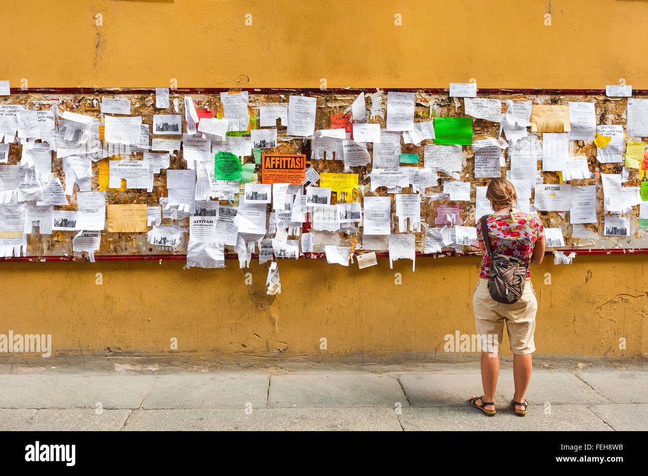 Studentessa universitaria Bologna, uno studente controlli avvisi alloggio imperniato ad una parete nel quartiere universitario di Bologna, Emilia Romagna, Italia. Foto Stock