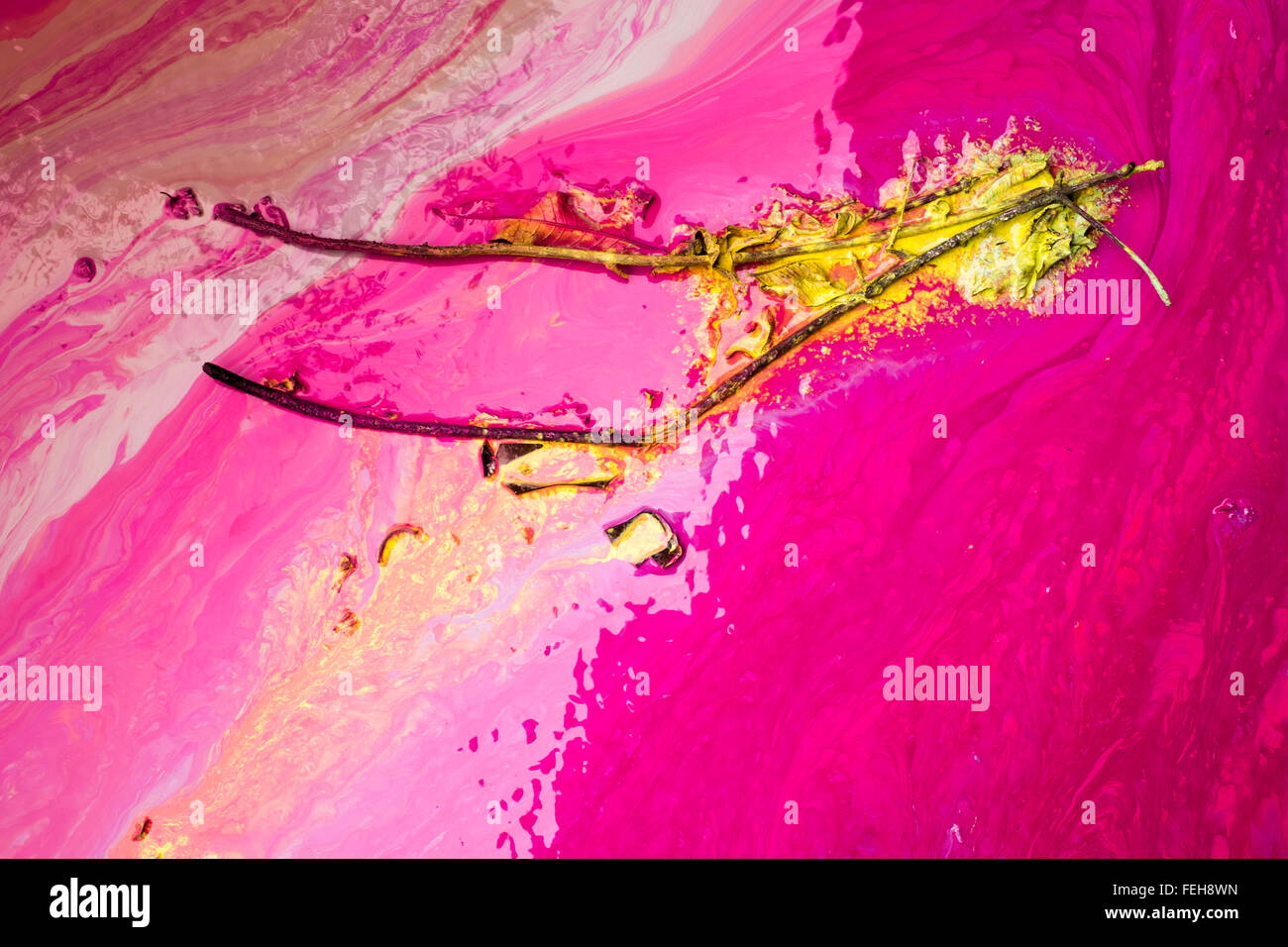 Abstract pavimento vernice colore versato ramo d'arte Foto Stock