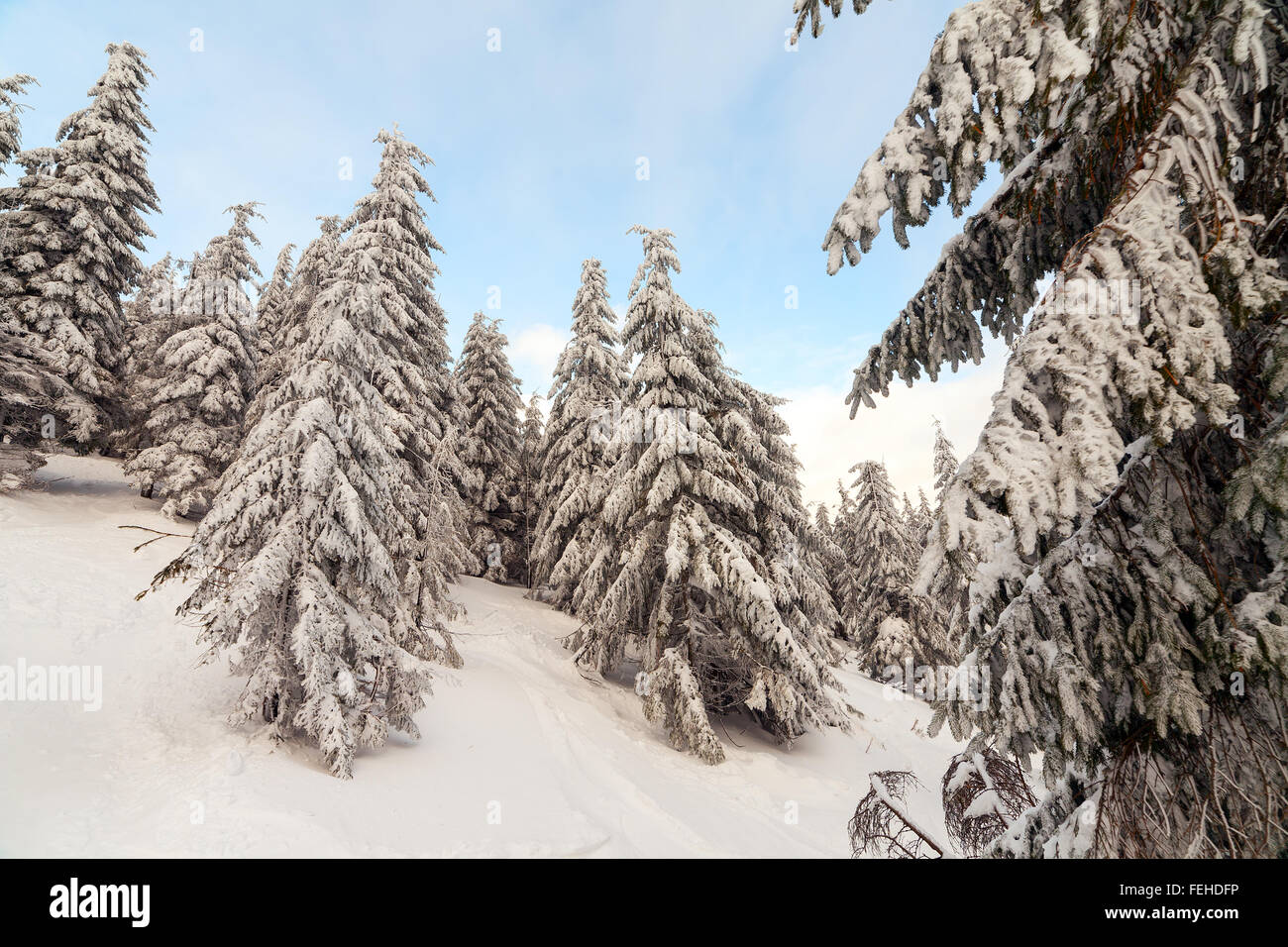 Montagna di neve. montagne sotto la neve in inverno Foto Stock