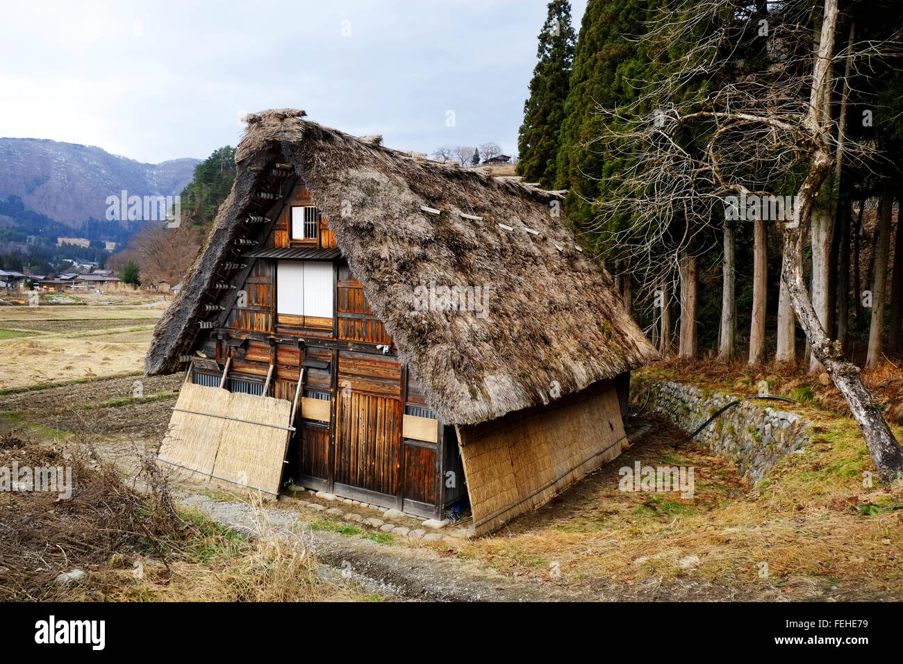 Shirakawa-go,village, Giappone, Foto Stock