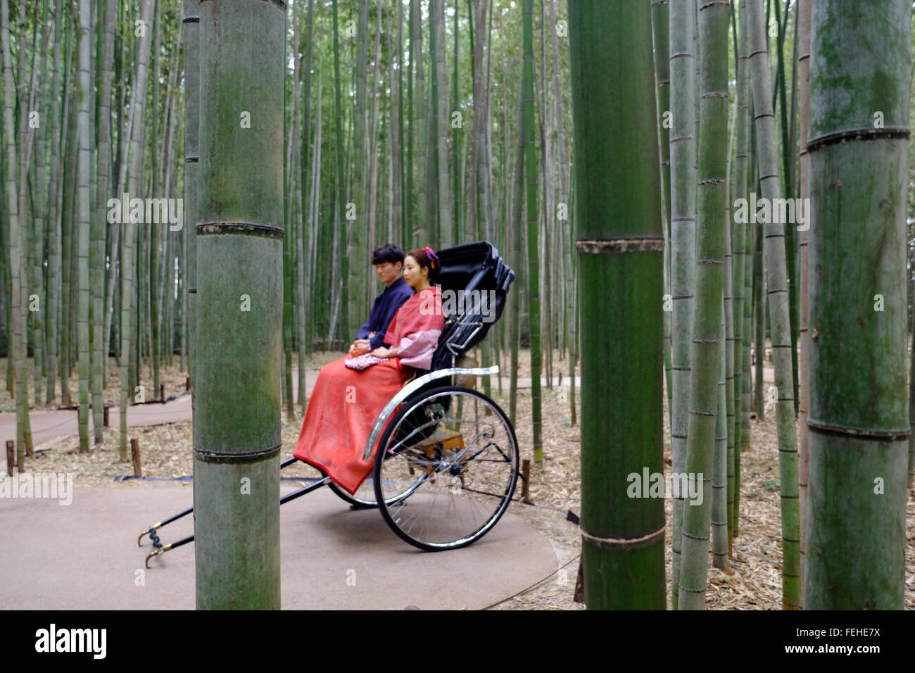 Bosco di bambù e il carrello con un paio di Foto Stock