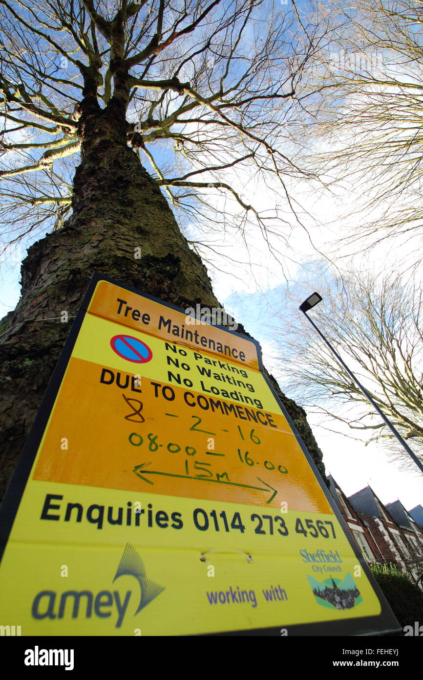 Un segno su un albero in bordo Nather, Sheffield avverte che la manutenzione della struttura è prevista per il 8 febbraio 2016. Foto Stock