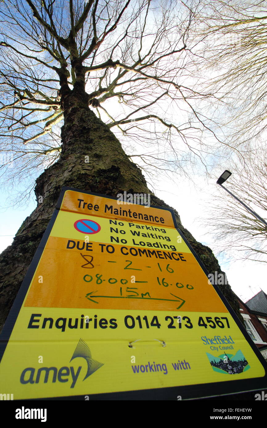 Un segno su un albero in bordo Nather, Sheffield avverte che la manutenzione della struttura è prevista per il 8 febbraio 2016. Foto Stock