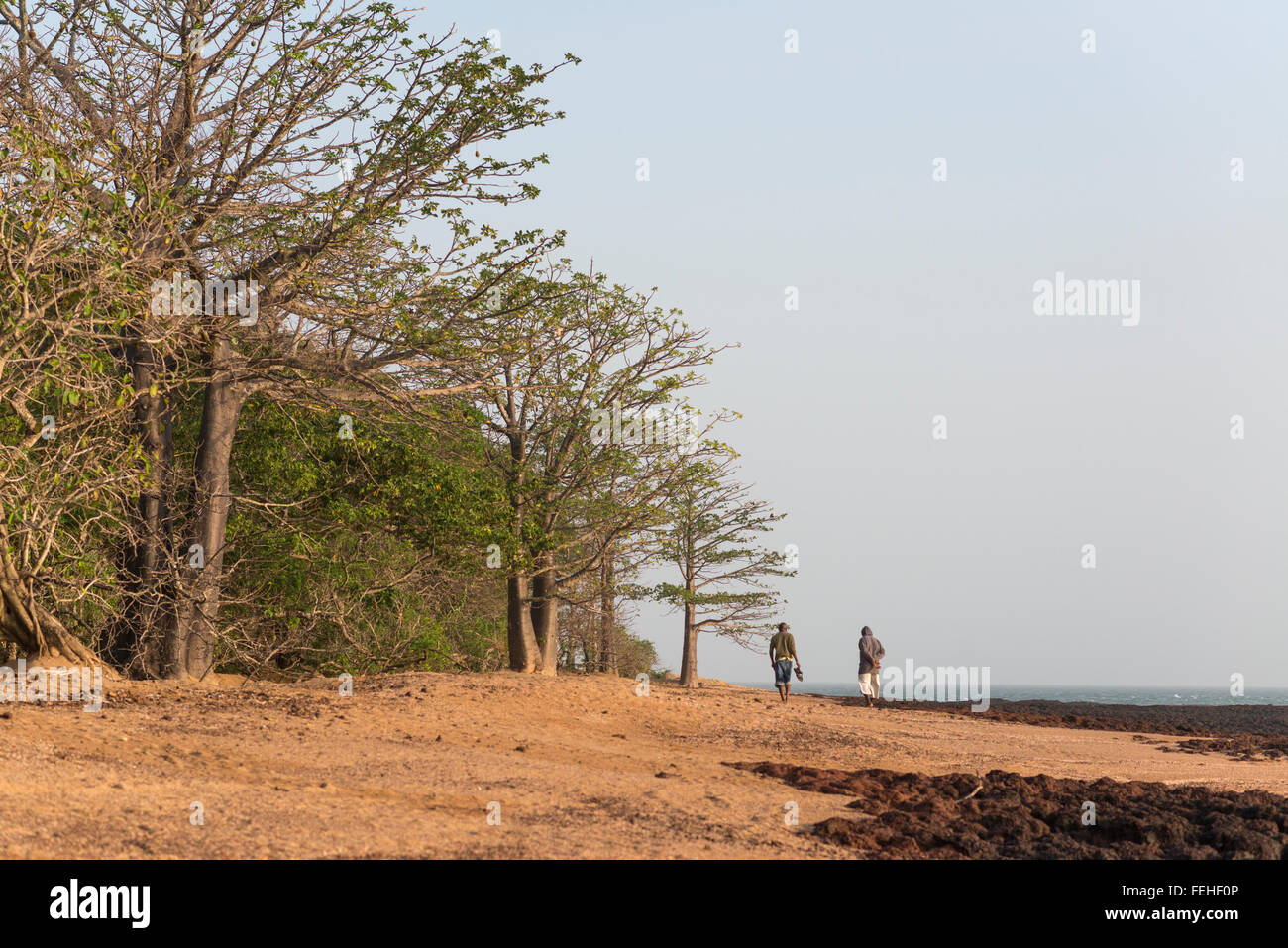 La roccia vulcanica sul litorale dell'isola Poilao nelle isole Bijagos della Guinea Bissau Foto Stock