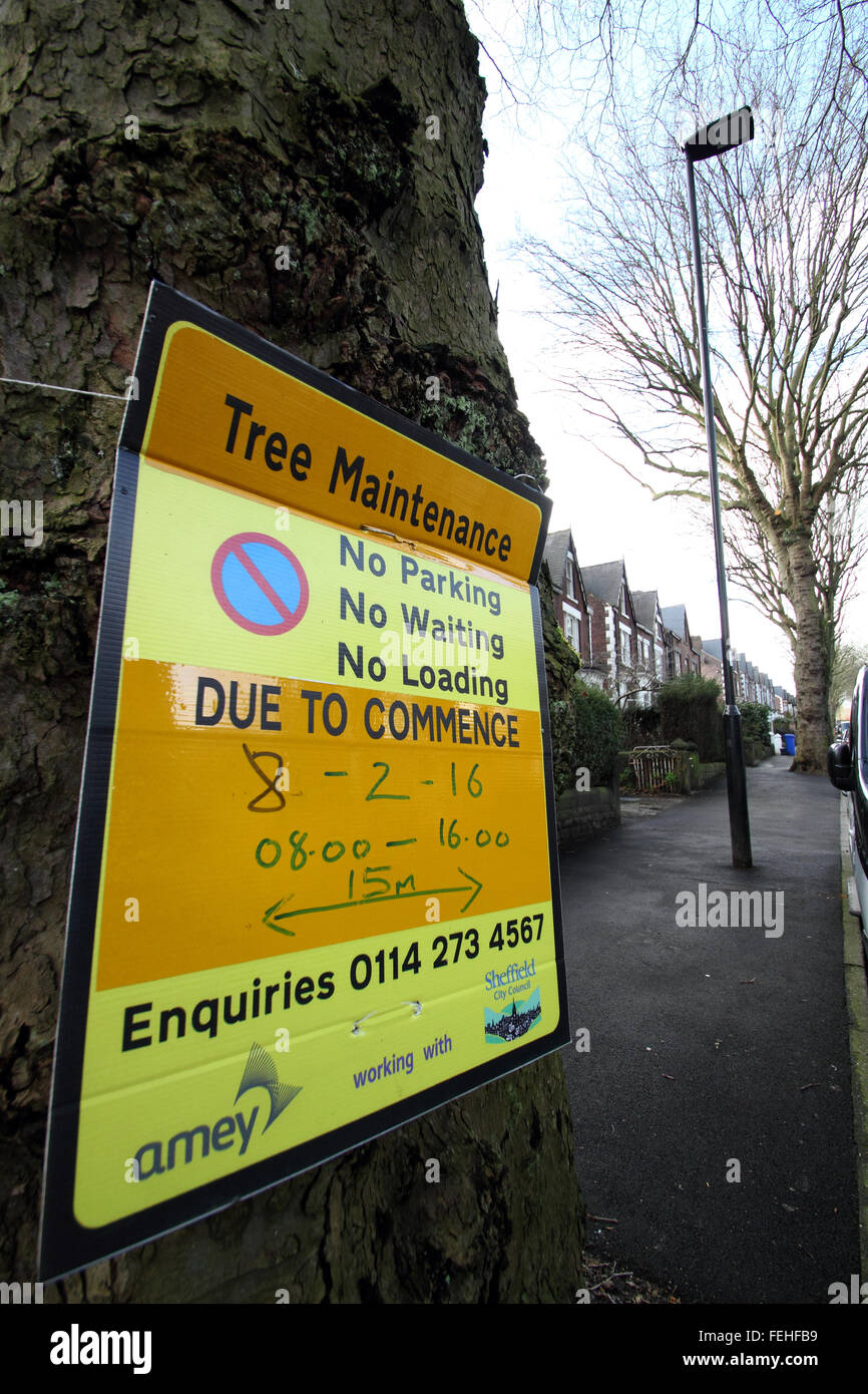 Un segno su un albero in Nether Edge, Sheffield avvisa il pubblico che la manutenzione della struttura è prevista per il 8 febbraio 2016 Foto Stock