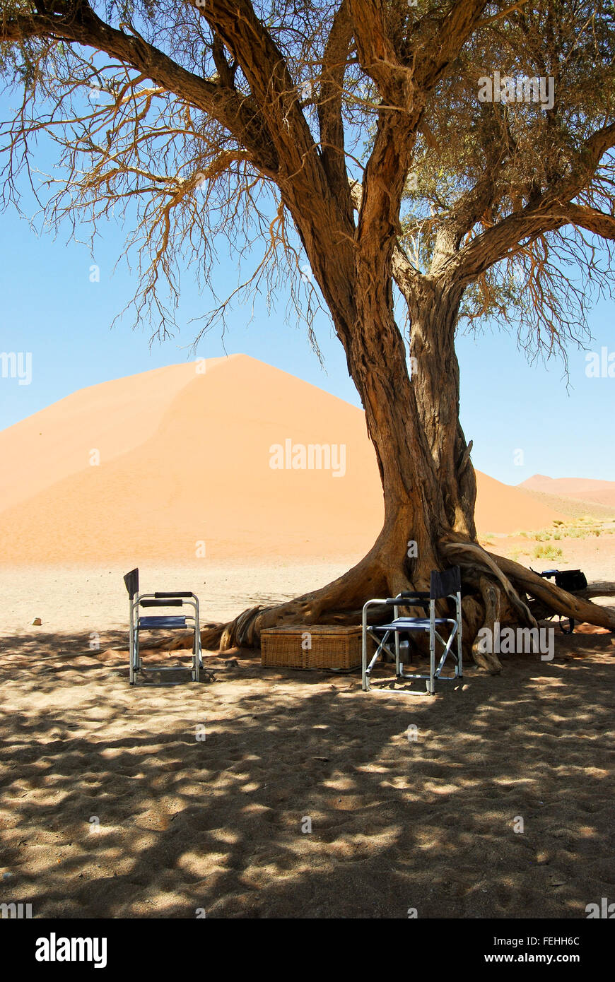 Picnic nel deserto, Sossusvlei Namibia Africa Foto Stock