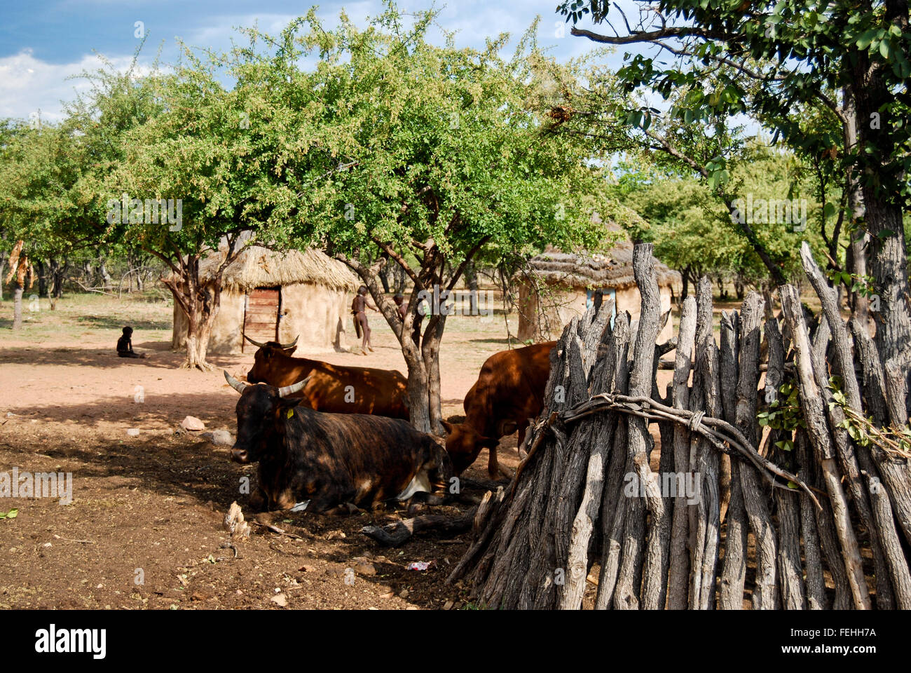 Villaggio Himba con capanna tradizionale vicino Parco Nazionale Etosha in Namibia, Africa Foto Stock