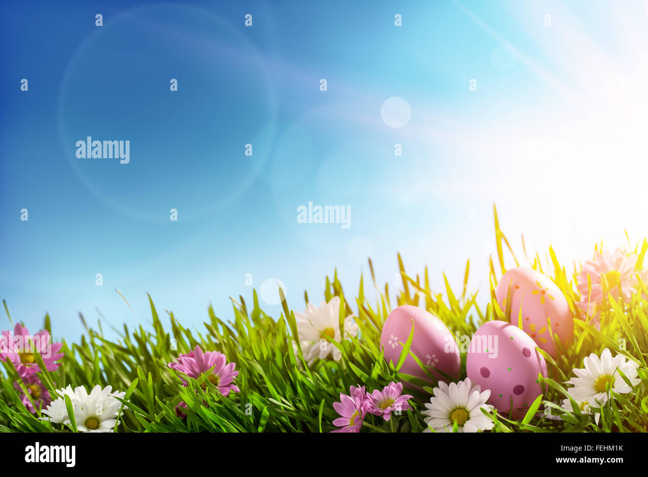 Le uova di pasqua su erba verde al giorno di sole Foto Stock
