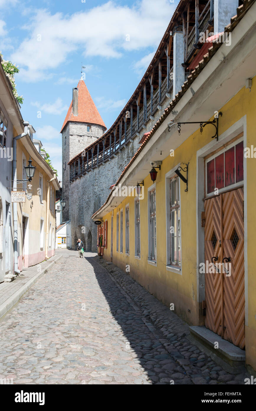 Vecchie mura della città e gate, Città Vecchia, Tallinn, Harju County, della Repubblica di Estonia Foto Stock