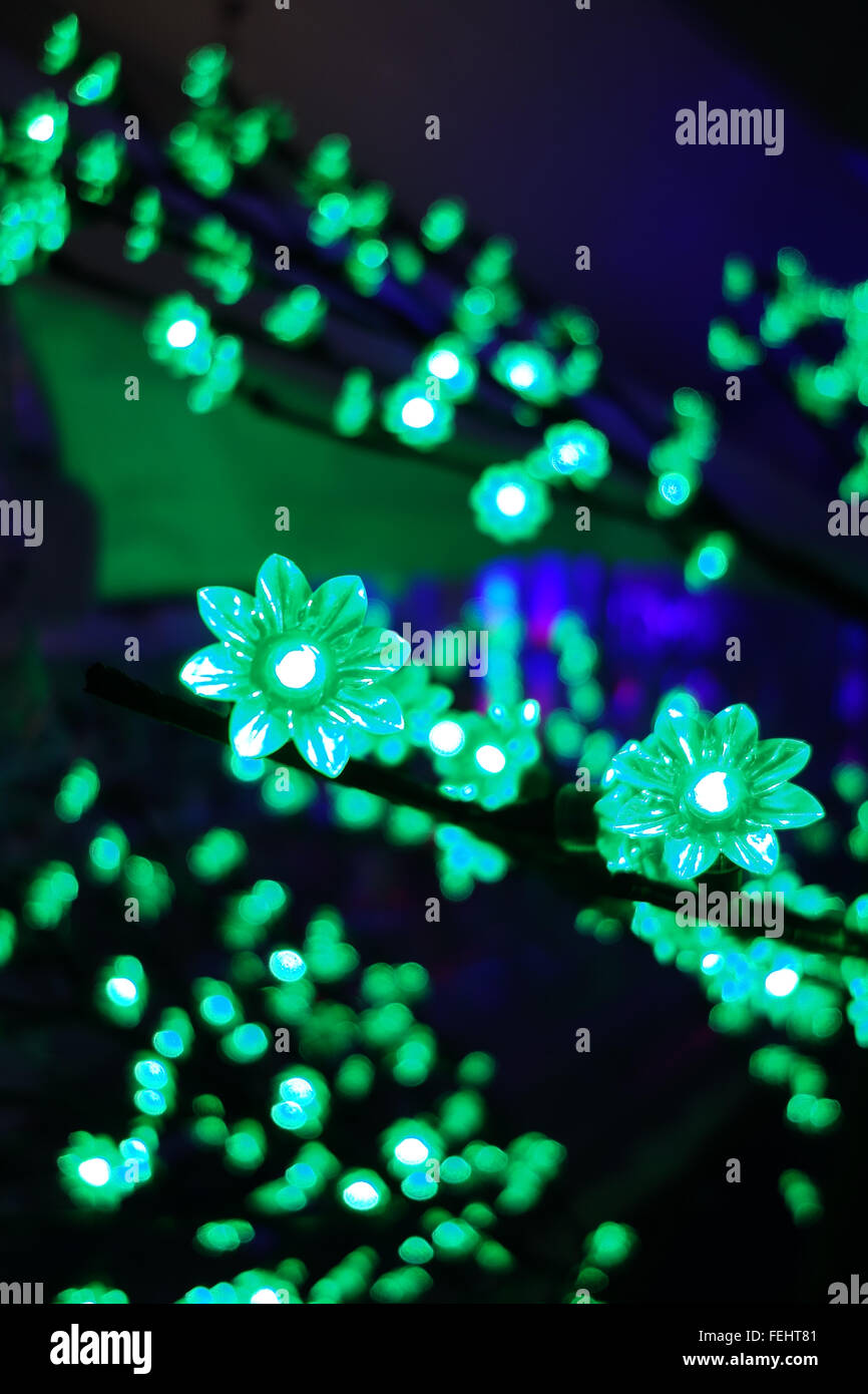 Verde scintillio di luci Foto Stock