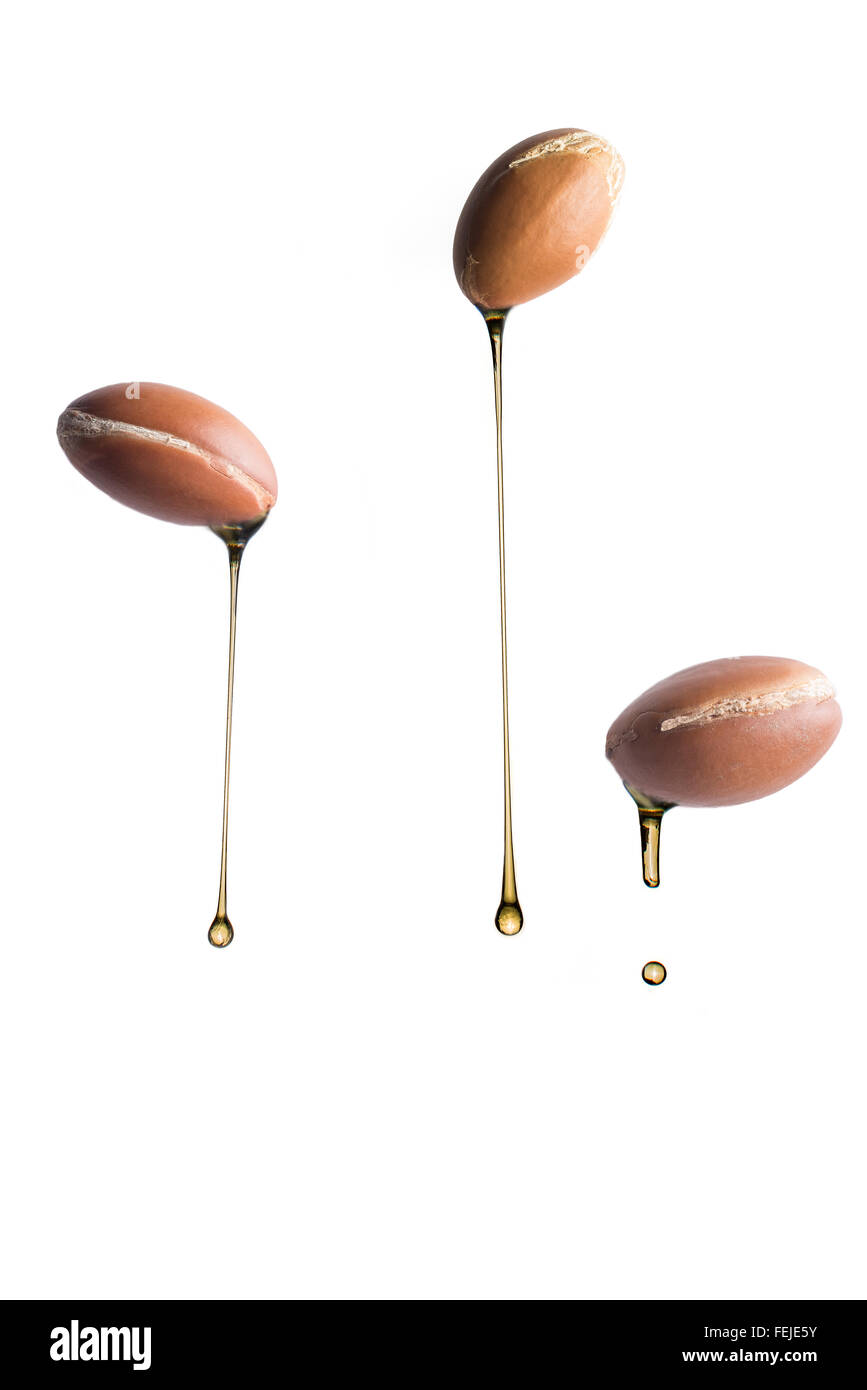 Olio di Argan provenienti dai frutti di Argan su sfondo bianco Foto Stock