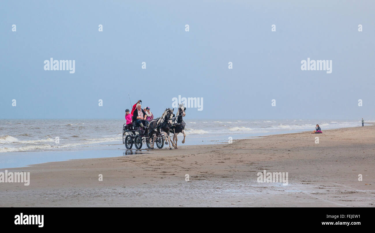 Paesi Bassi, South Holland, Noordwijk, divertente cavallo-drwan gite in carrozza sulla spiaggia Langevelderslag Foto Stock