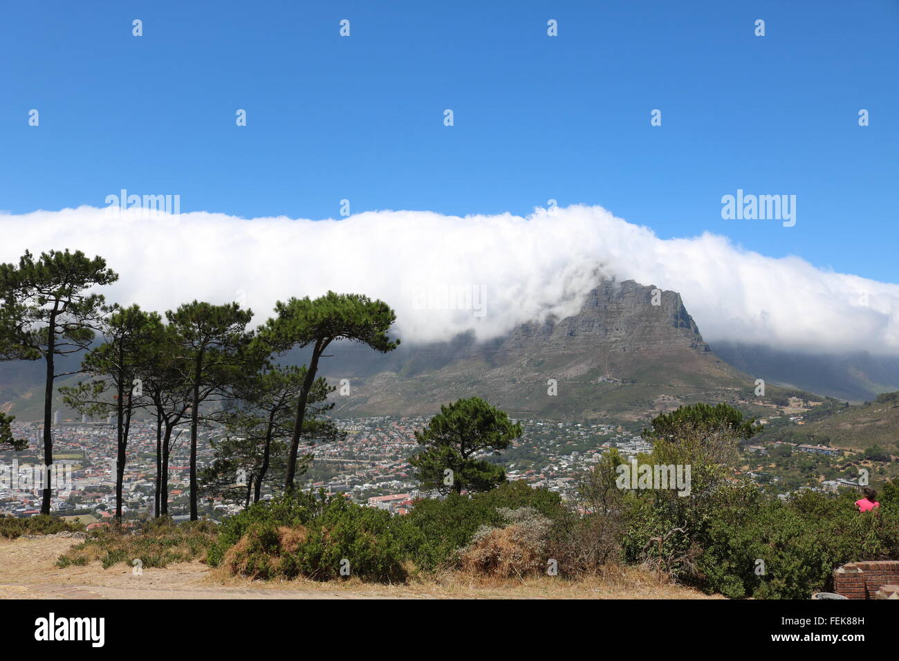 Table Mountain coperto dalle nuvole, visto dalla collina di segnale, Cape Town, Sud Africa Foto Stock