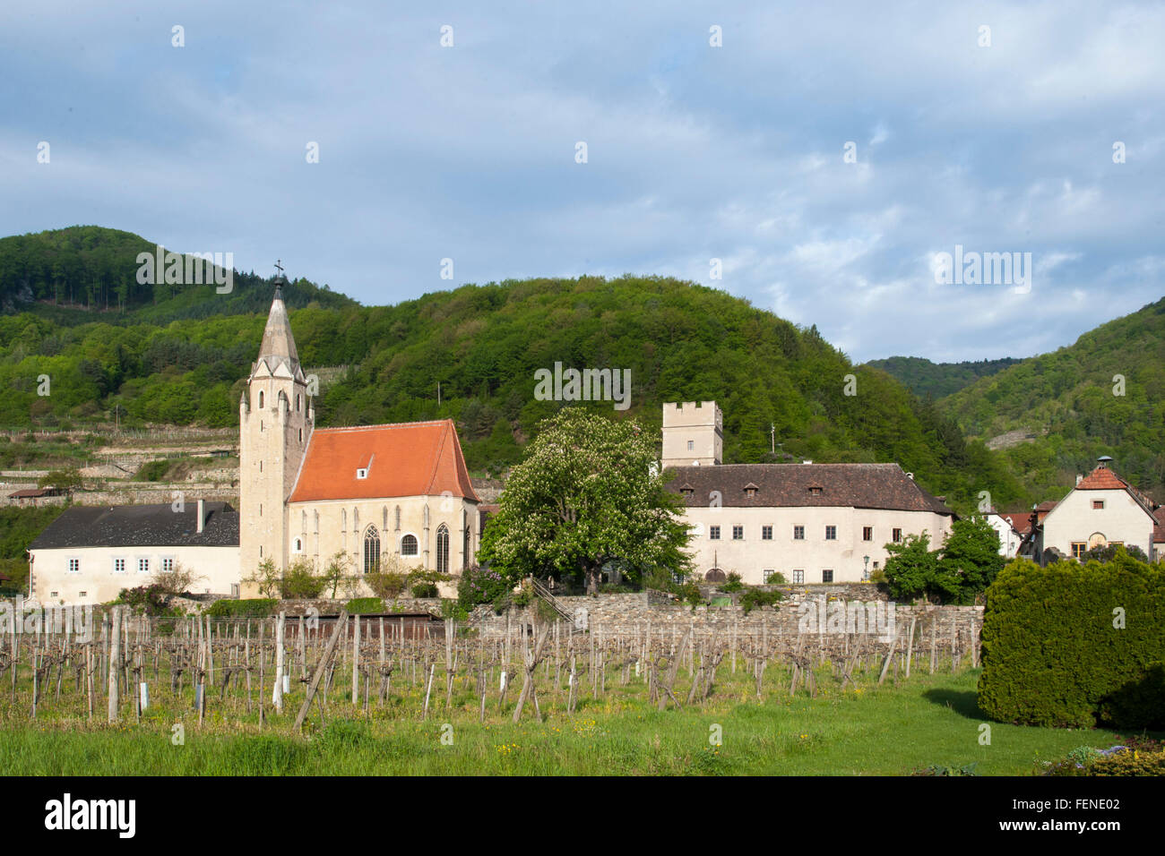 La chiesa, Schwallenbach sul Danubio, Sito Patrimonio Mondiale dell'UNESCO paesaggio culturale della Wachau, Austria Inferiore, Austria Foto Stock