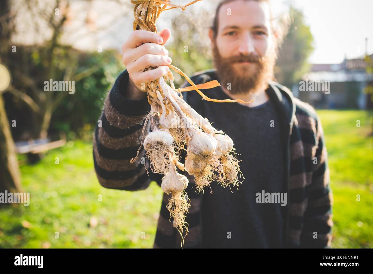 Barbuto metà uomo adulto in giardino azienda appena raccolte bulbi di aglio guardando sorridente della fotocamera Foto Stock
