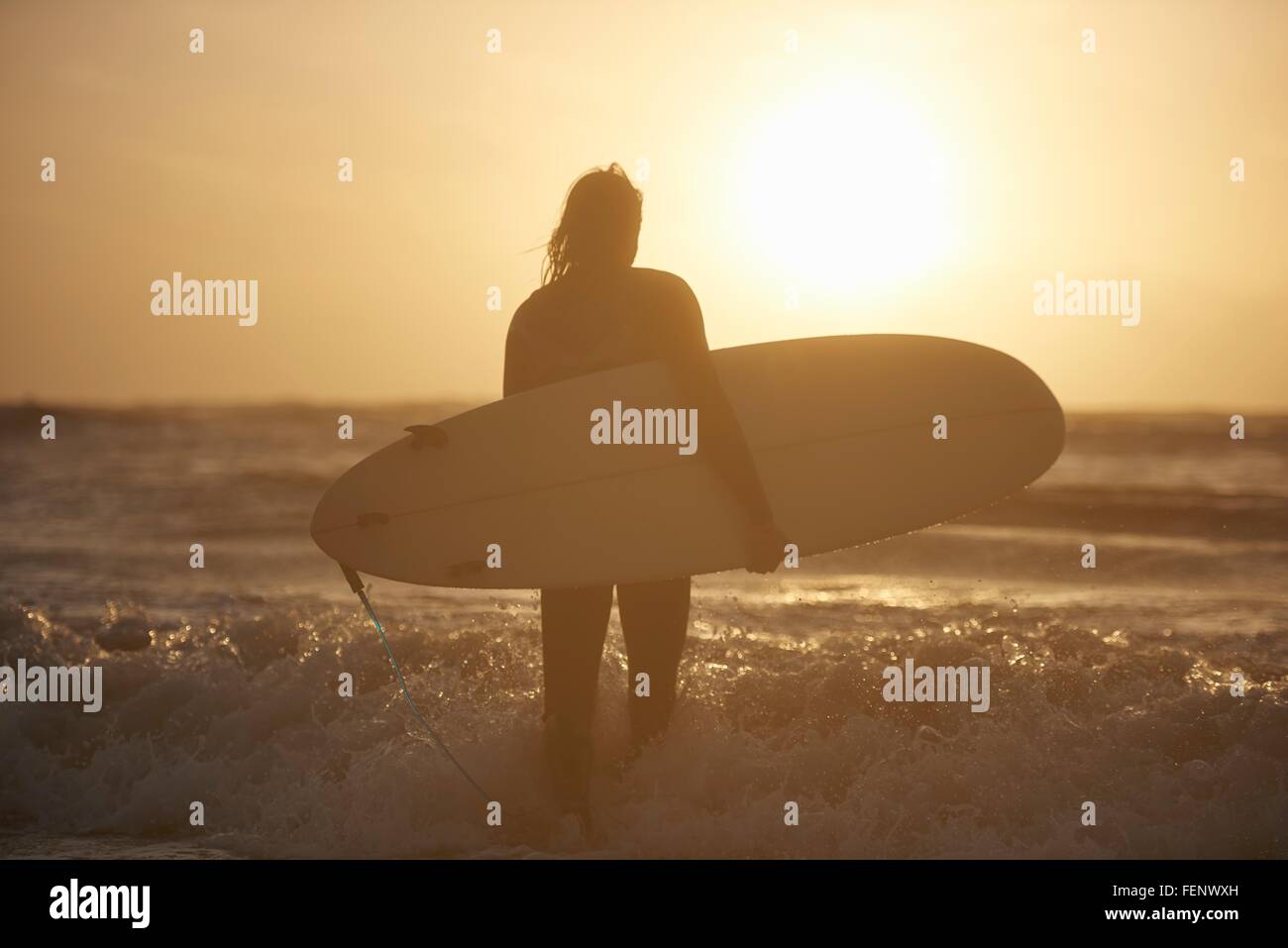 Silhouette di un giovane maschio surfer che trasportano le tavole da surf in mare, Devon, Inghilterra, Regno Unito Foto Stock