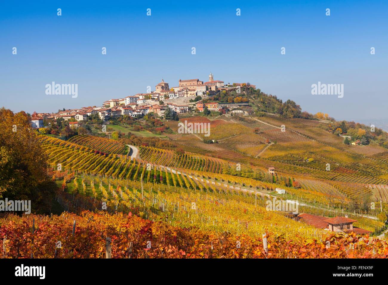 Vista di autunno vigneti e borgo collinare, Langhe, Piemonte, Italia Foto Stock
