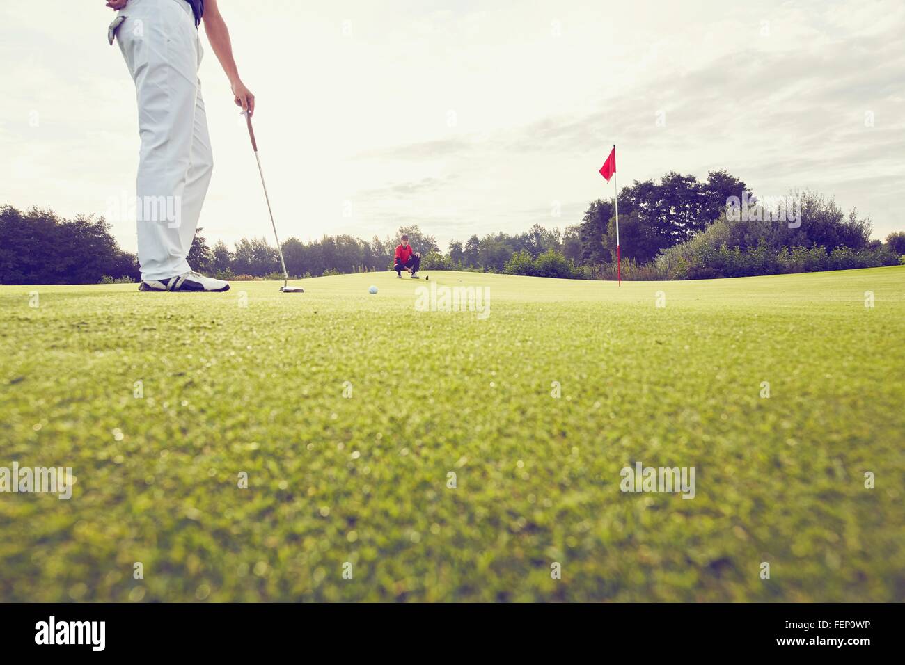 Il Golfer giocando vicino al foro, Korschenbroich, Dusseldorf, Germania Foto Stock