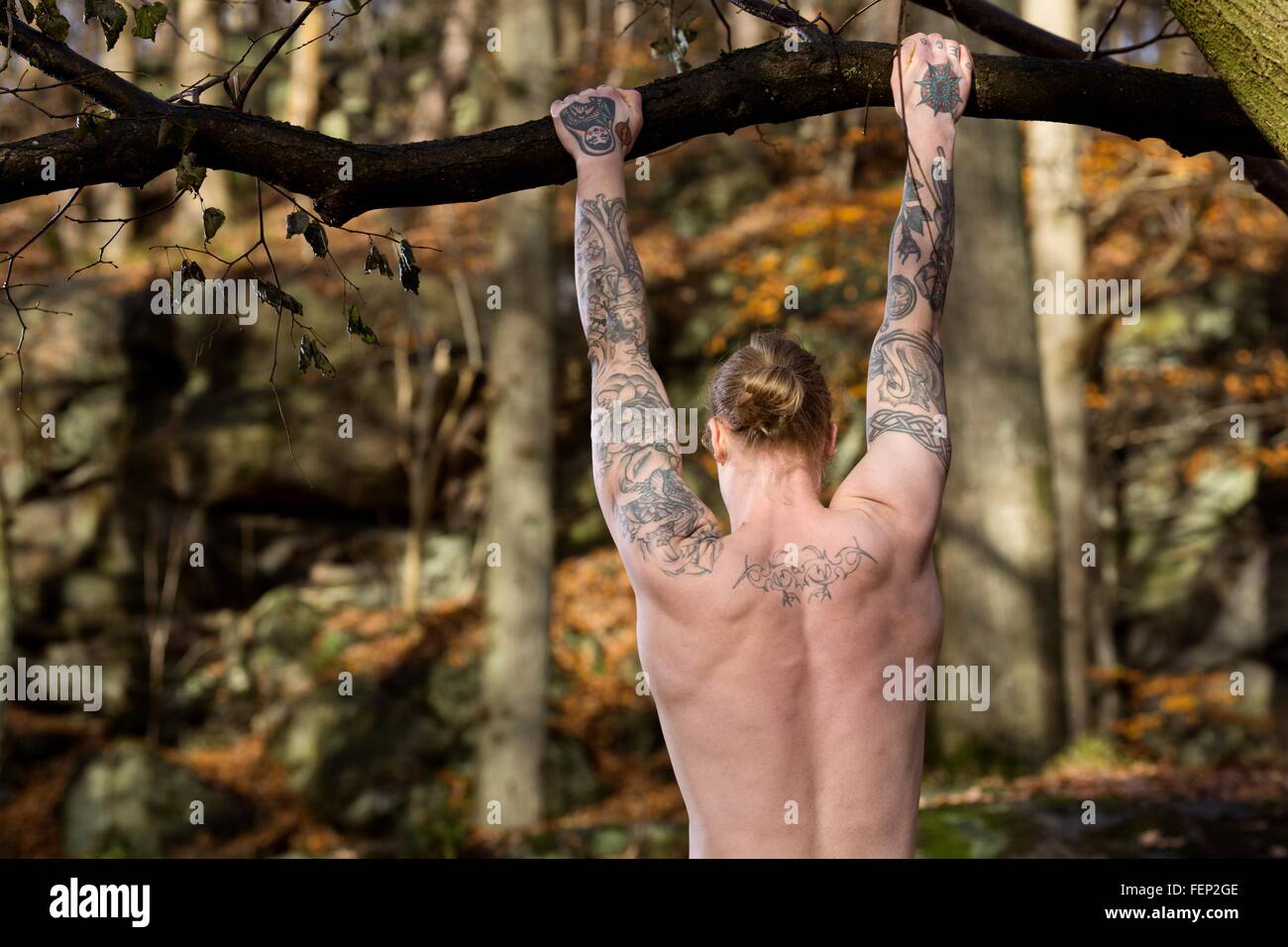 Vista posteriore di tatuati metà uomo adulto nella foresta facendo tirare su albero Foto Stock