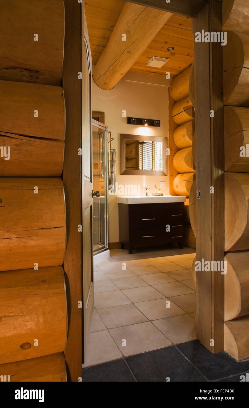 Bagno ospiti con vetro box doccia e toeletta in legno all'interno di un Scandinavian cottage in stile casa di registro Foto Stock