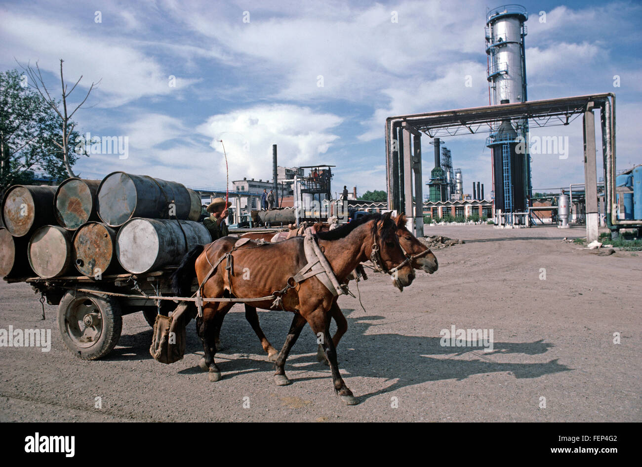 Raffineria di petrolio in Daqing, Provincia di Heilongjiang, Cina Foto Stock