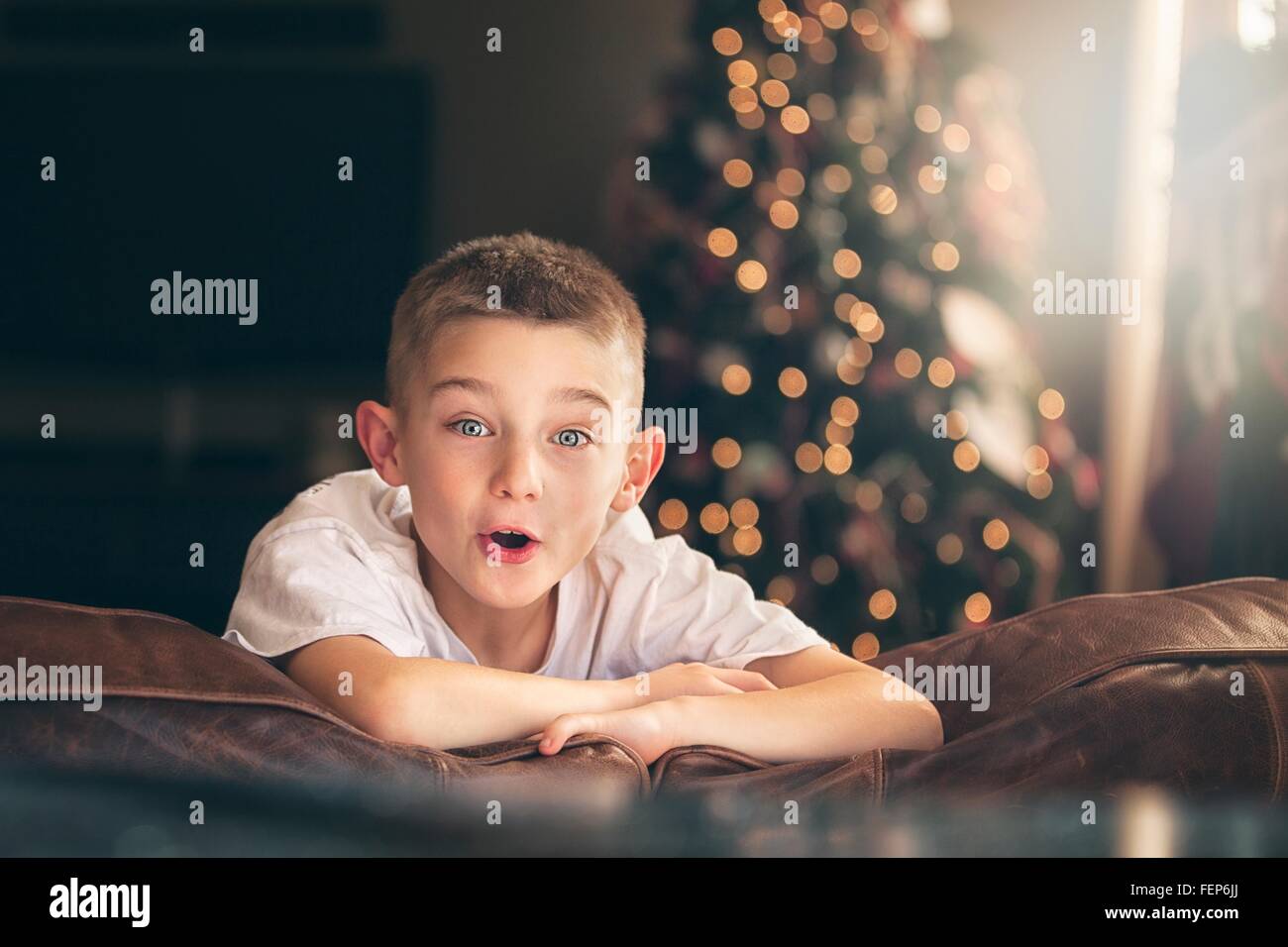 Ritratto di ragazzo eccitato sul divano davanti dell albero di natale Foto Stock