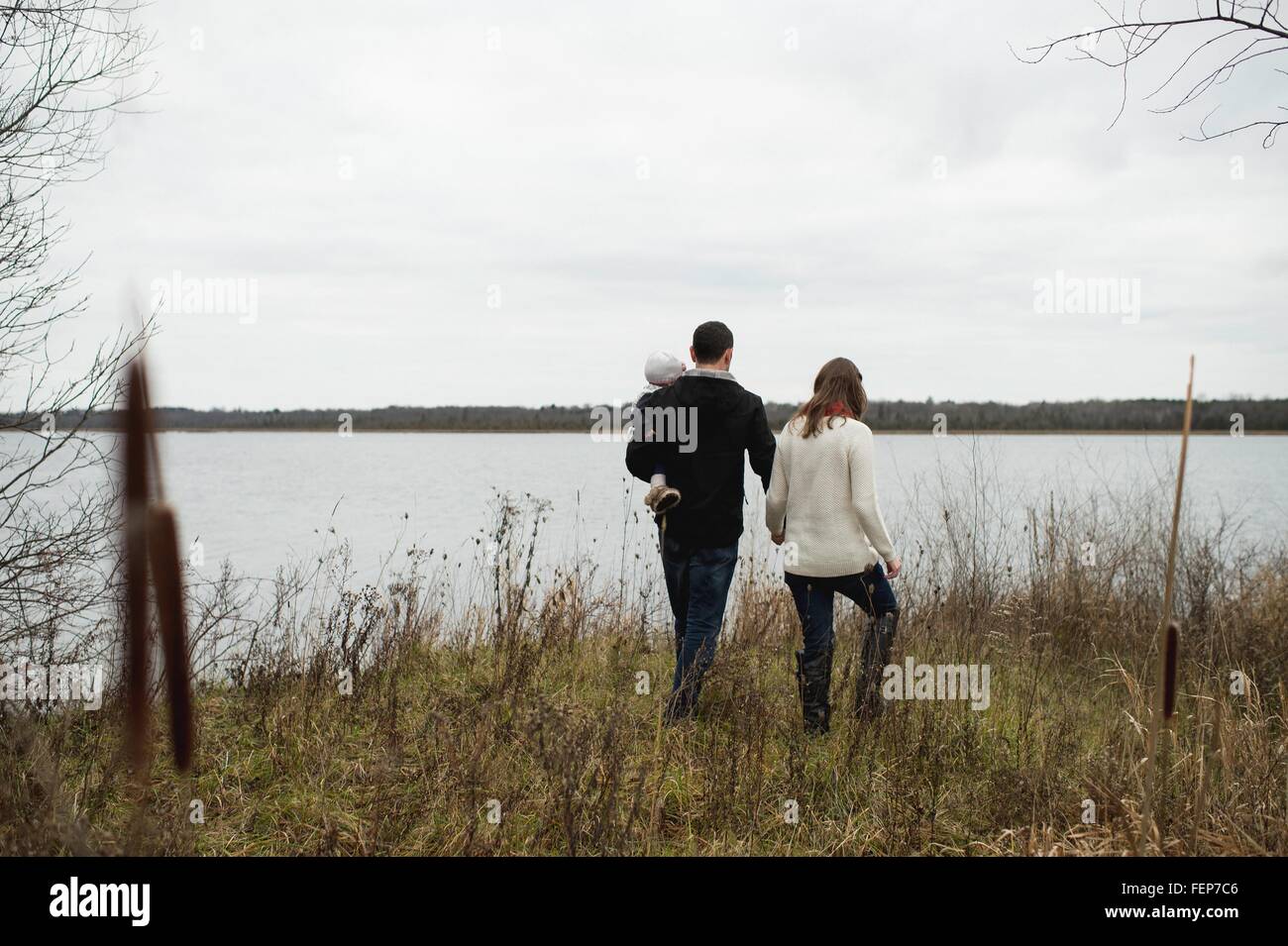 Giovane famiglia passeggiate all'aperto, accanto al lago, vista posteriore Foto Stock